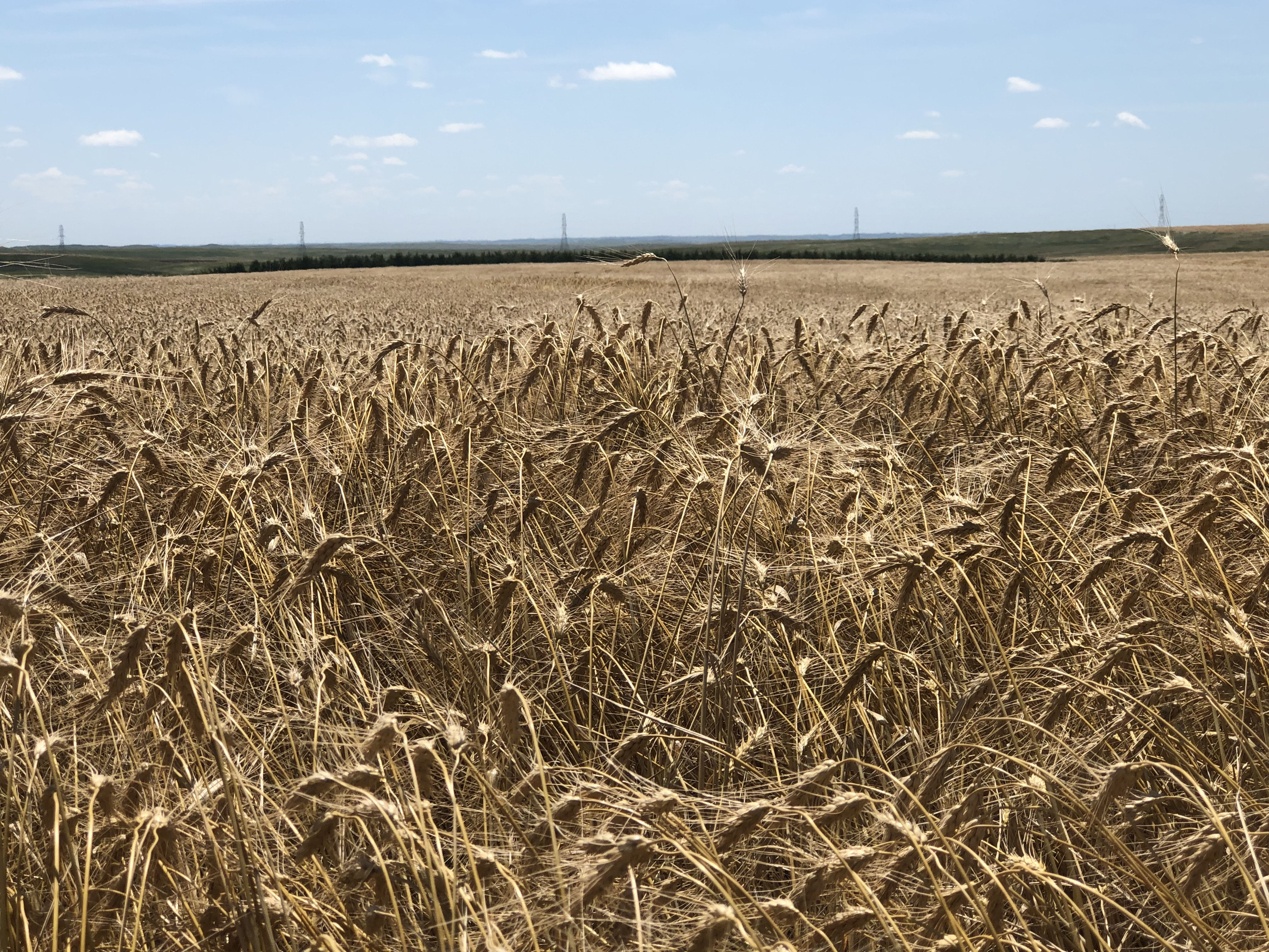 Buffalo County Farm Land property picture 27 of 33