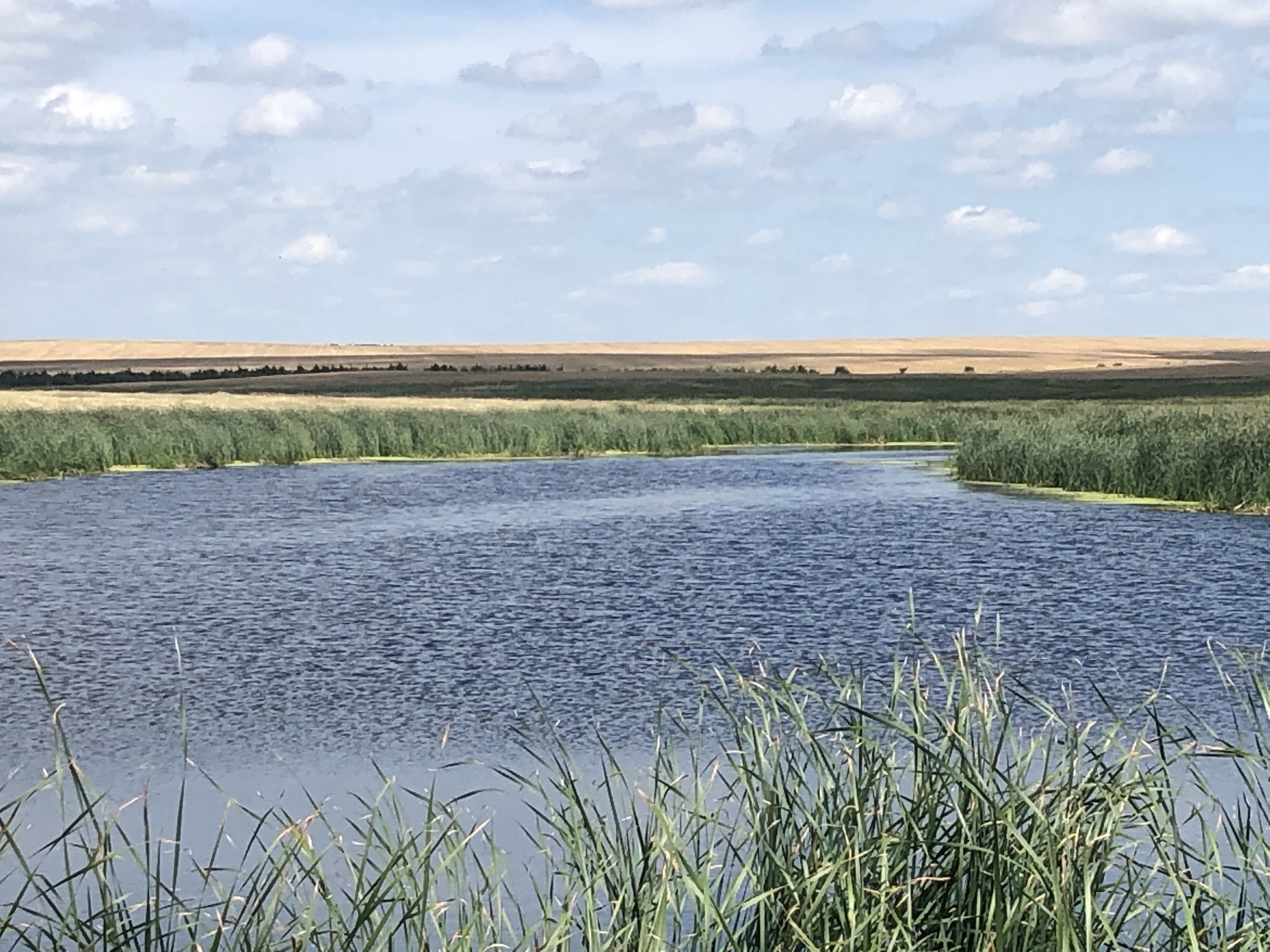 Buffalo County Farm Land property picture 14 of 33