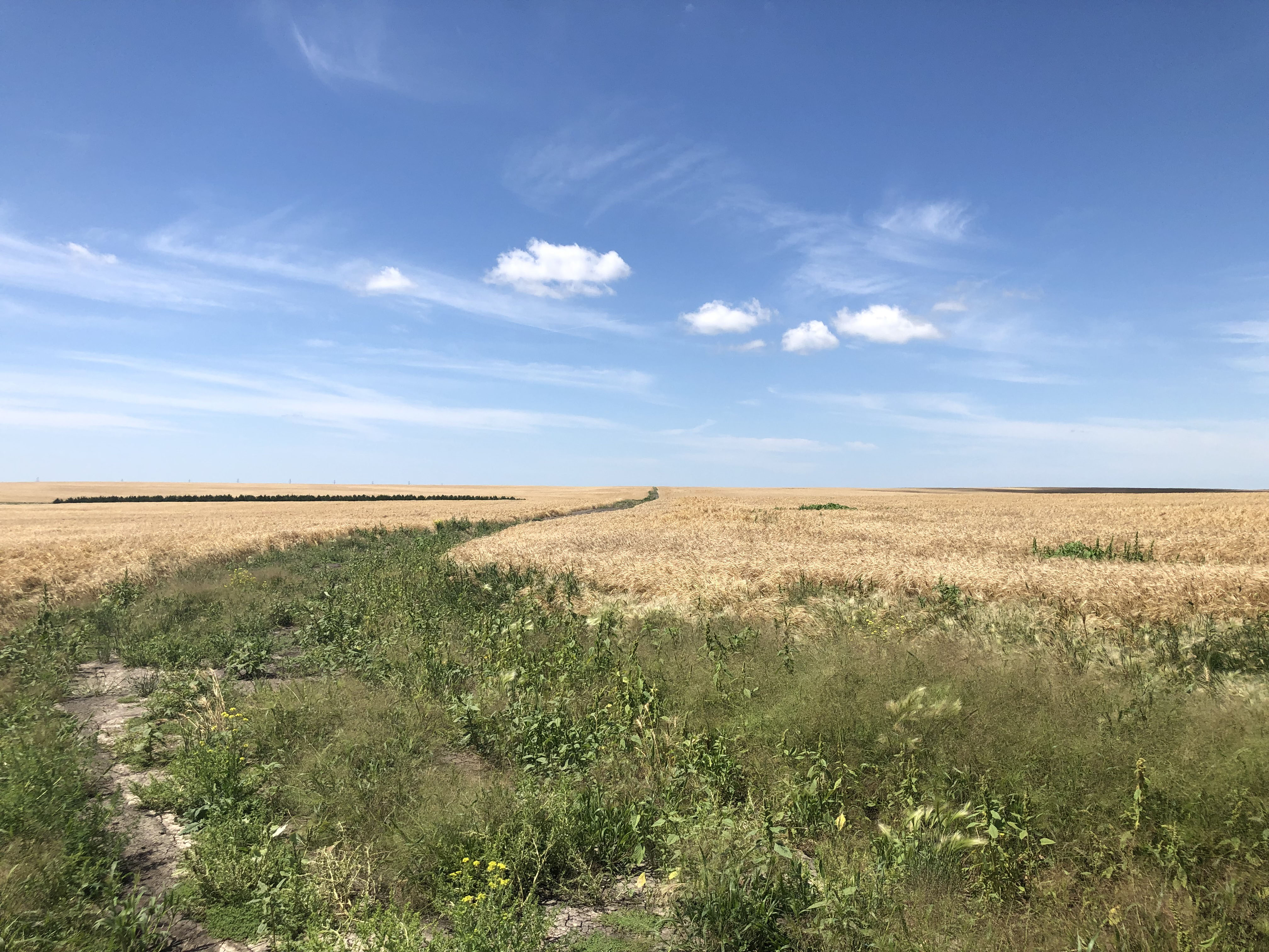 Buffalo County Farm Land property picture 21 of 33