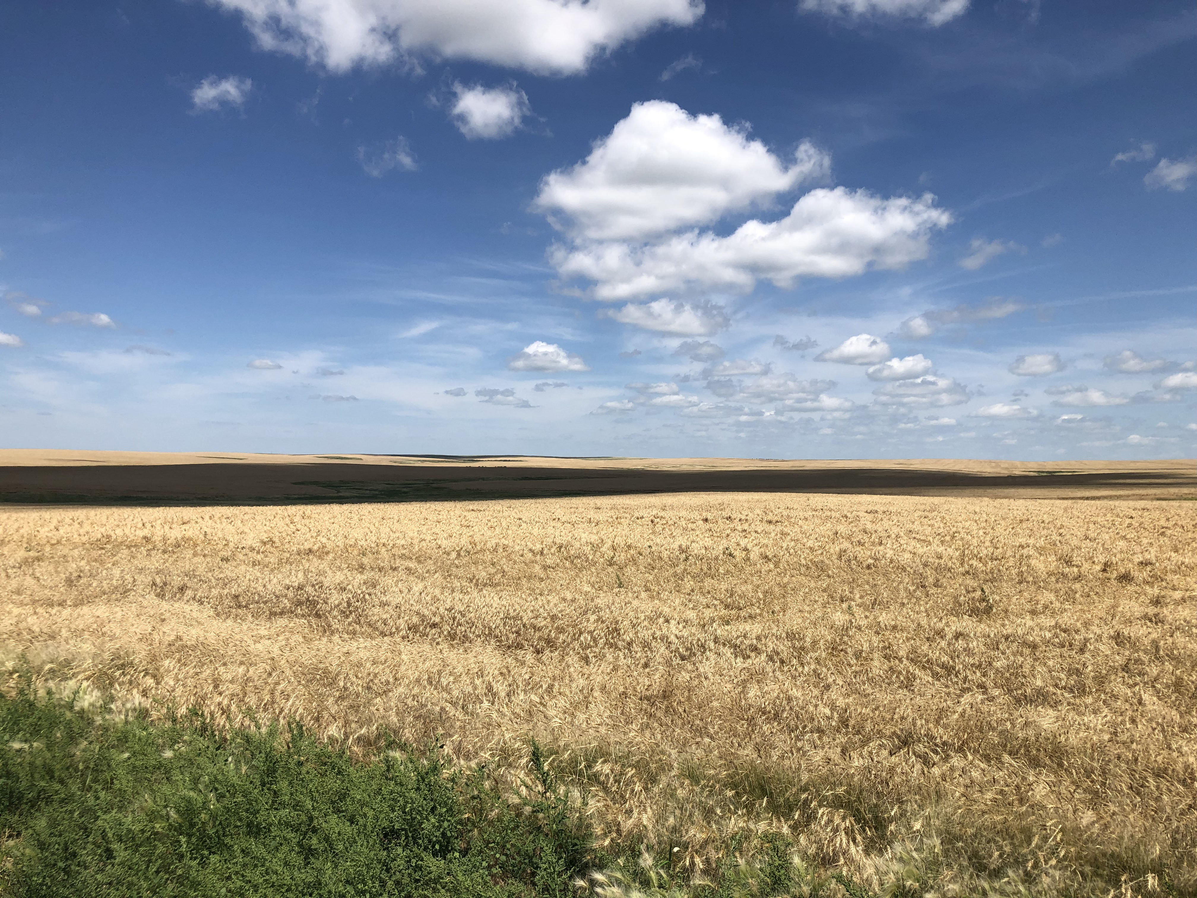 Buffalo County Farm Land property picture 8 of 33
