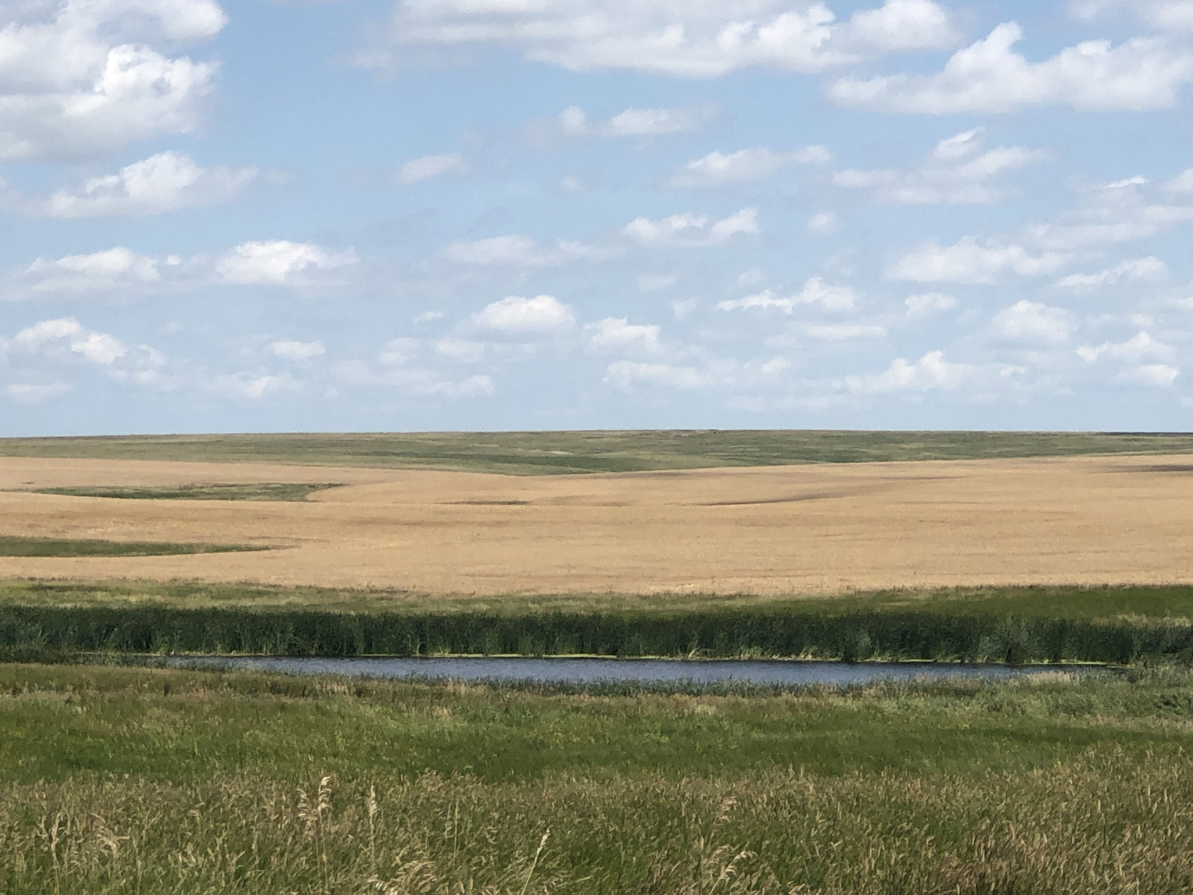 Buffalo County Farm Land property picture 29 of 33