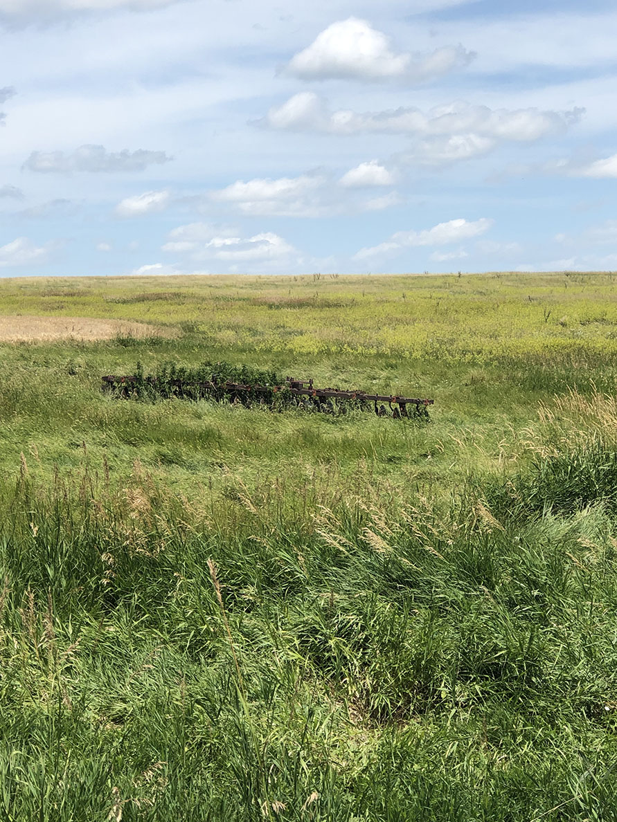 Buffalo County Farm Land property picture 3 of 33