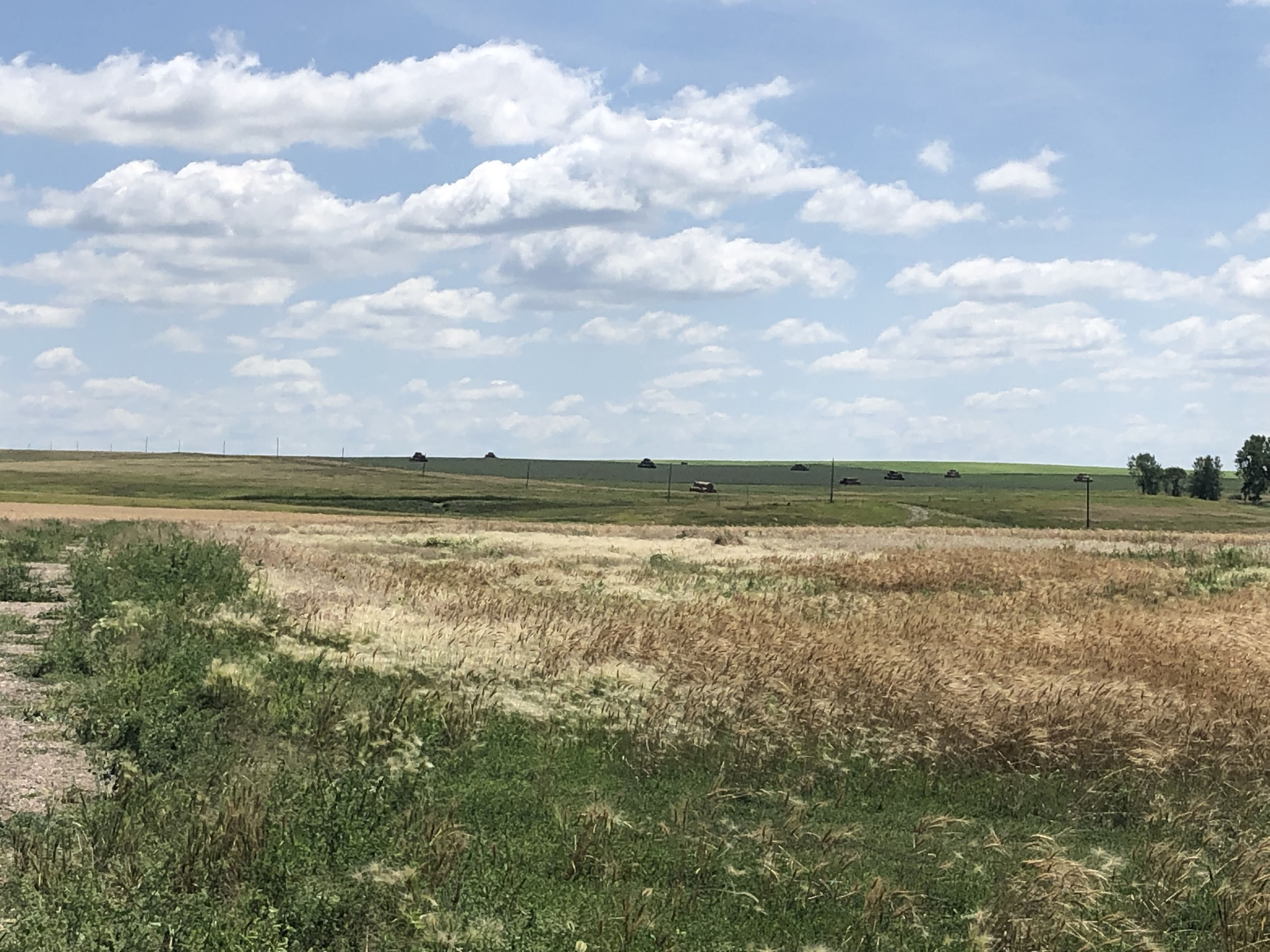 Buffalo County Farm Land property picture 9 of 33