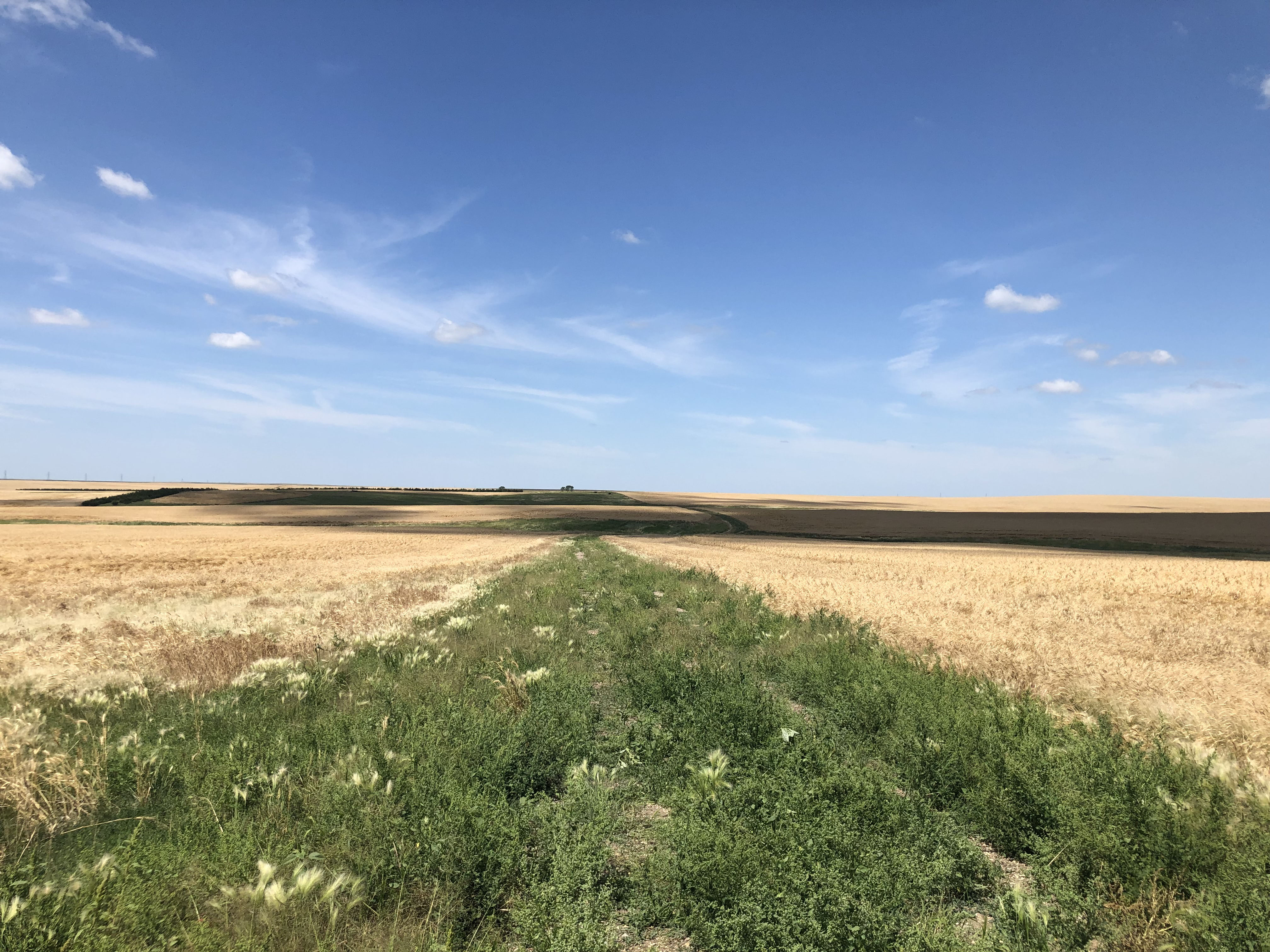 Buffalo County Farm Land property picture 7 of 33