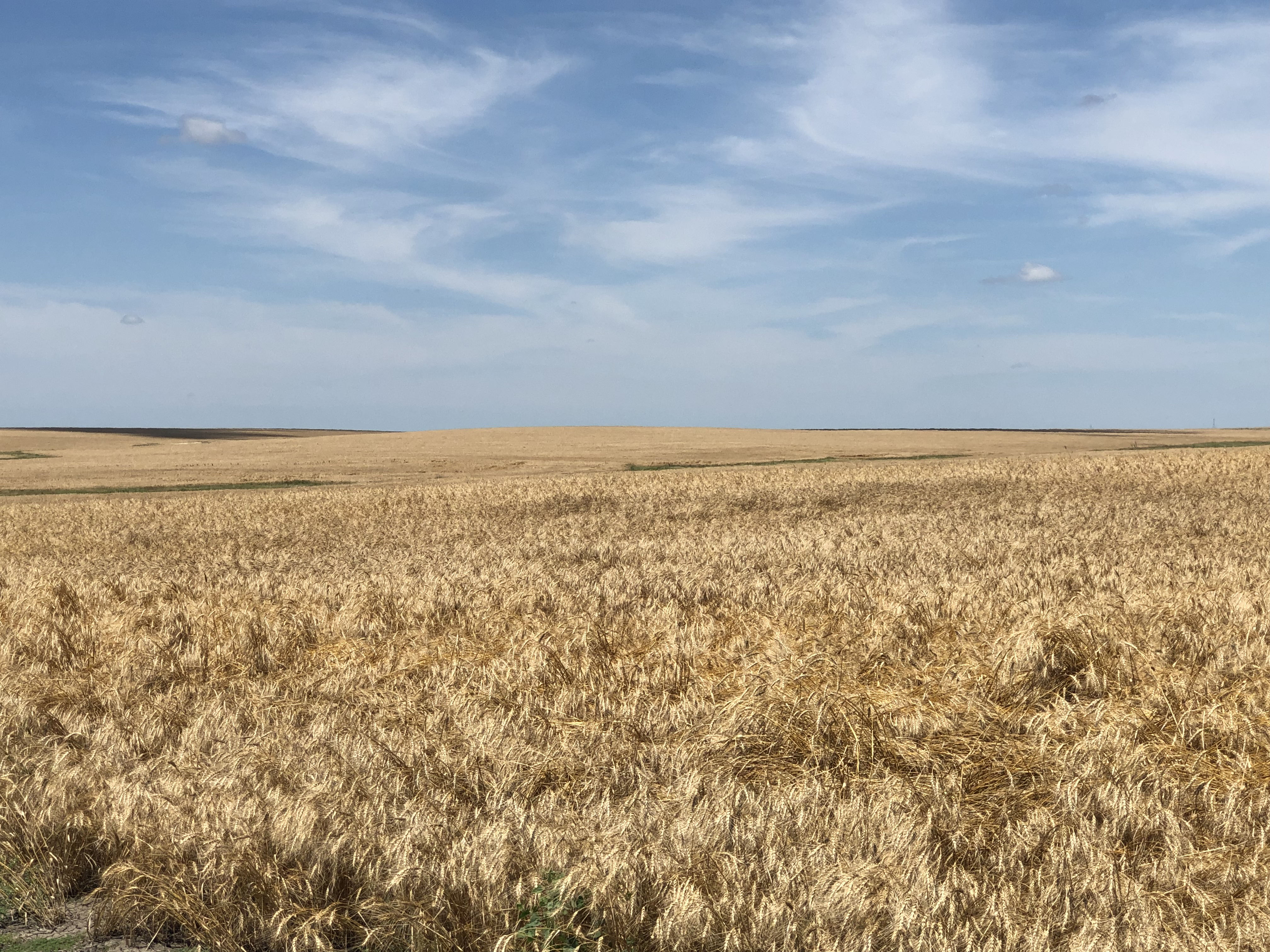 Buffalo County Farm Land property picture 25 of 33