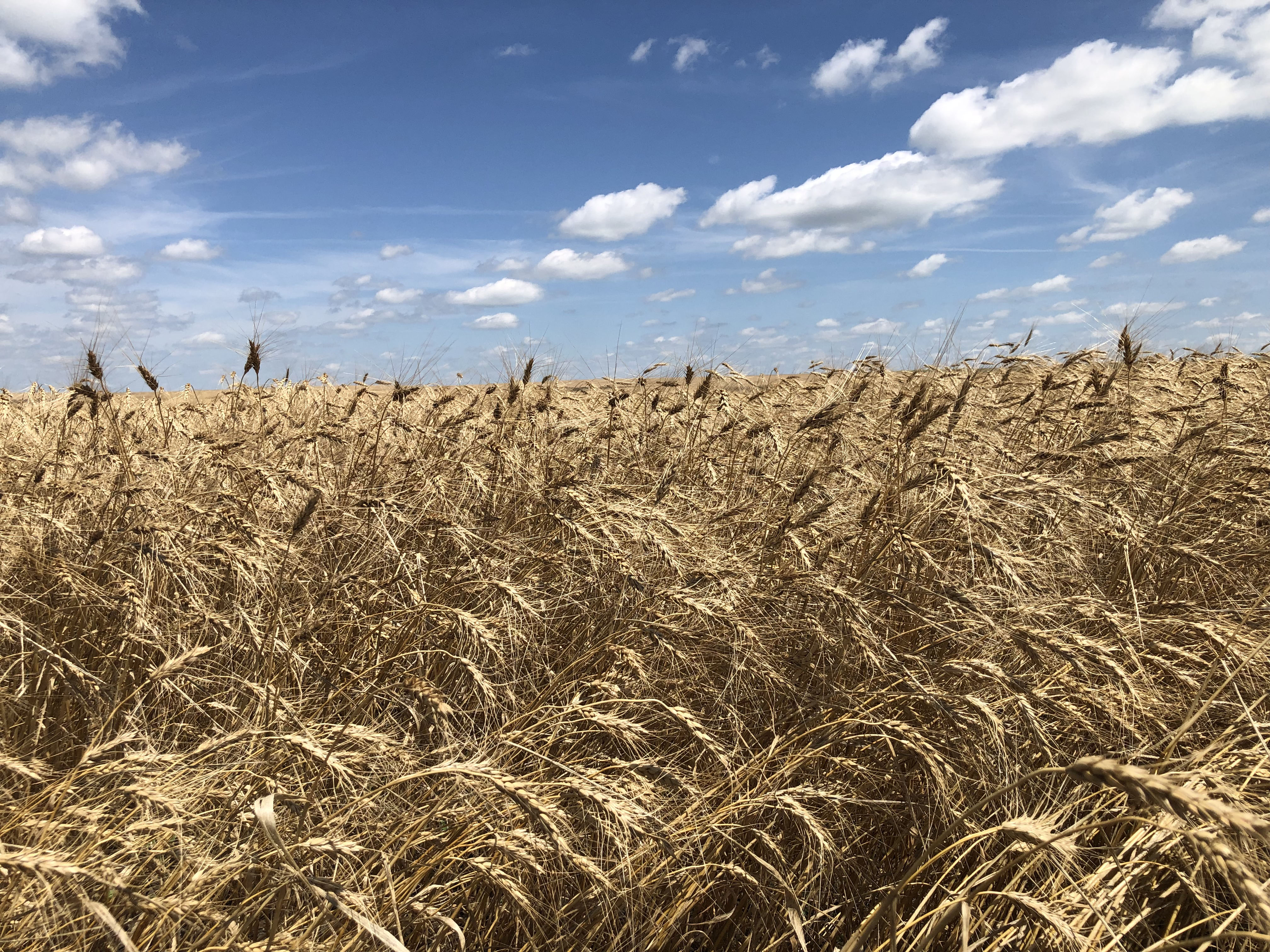 Buffalo County Farm Land property picture 12 of 33