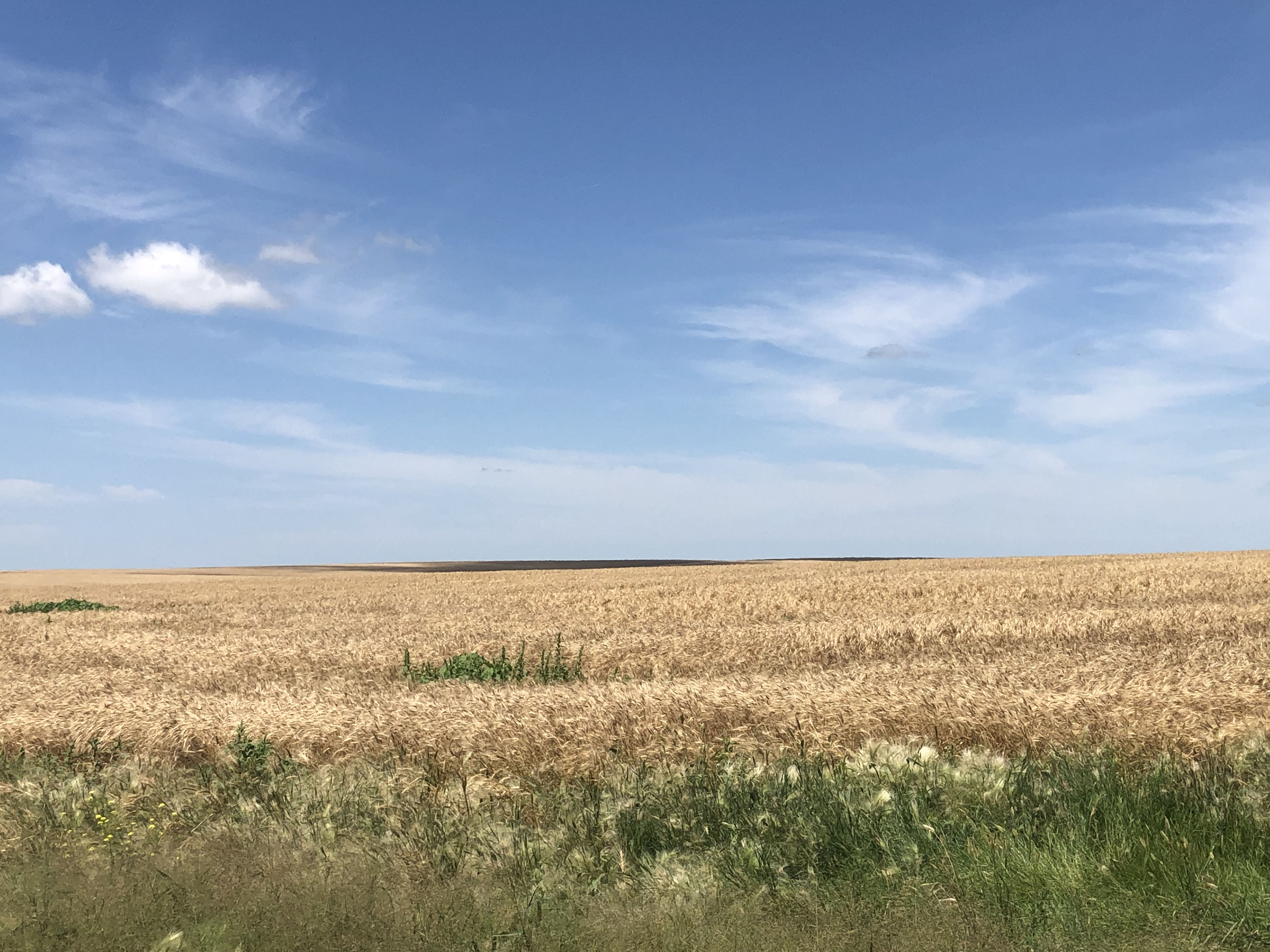 Buffalo County Farm Land property picture 22 of 33