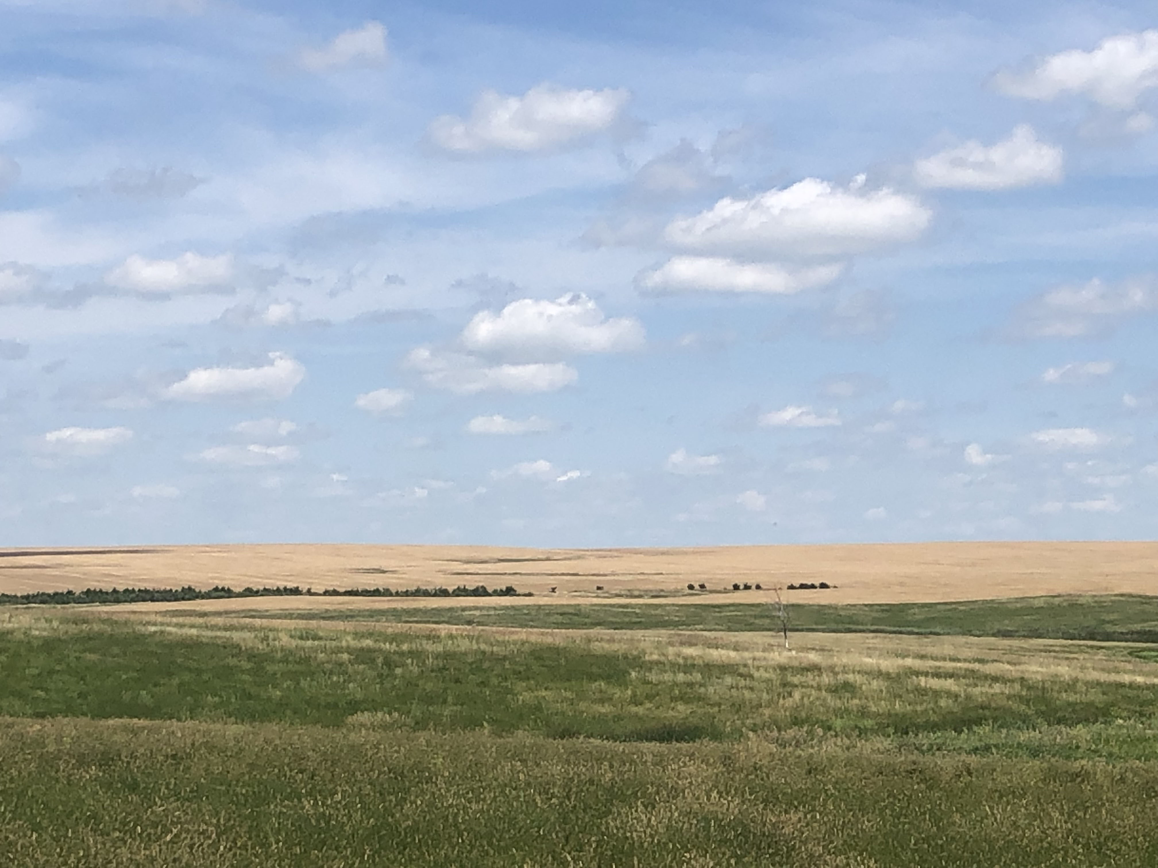 Buffalo County Farm Land property picture 17 of 33