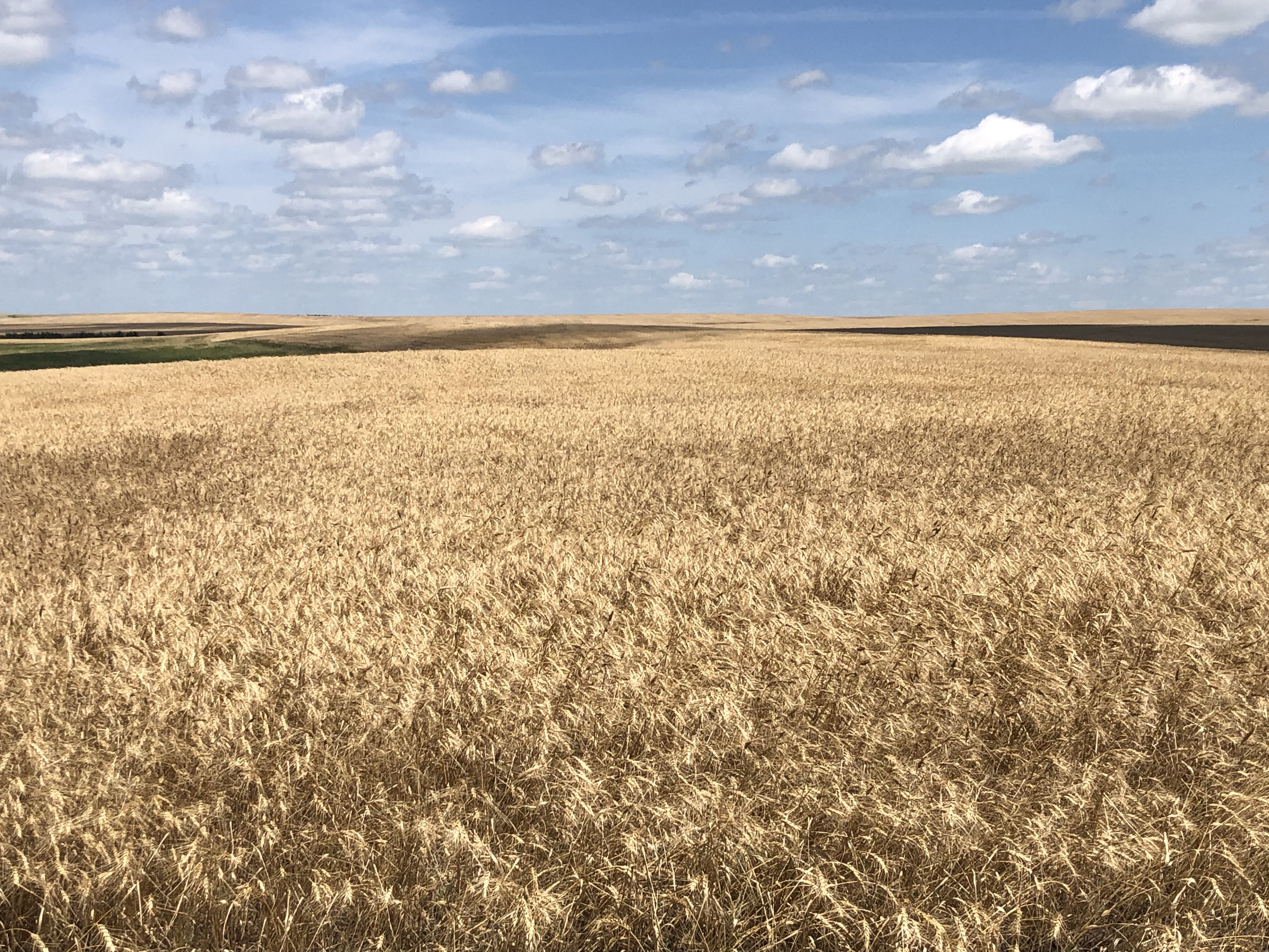 Buffalo County Farm Land property picture 11 of 33
