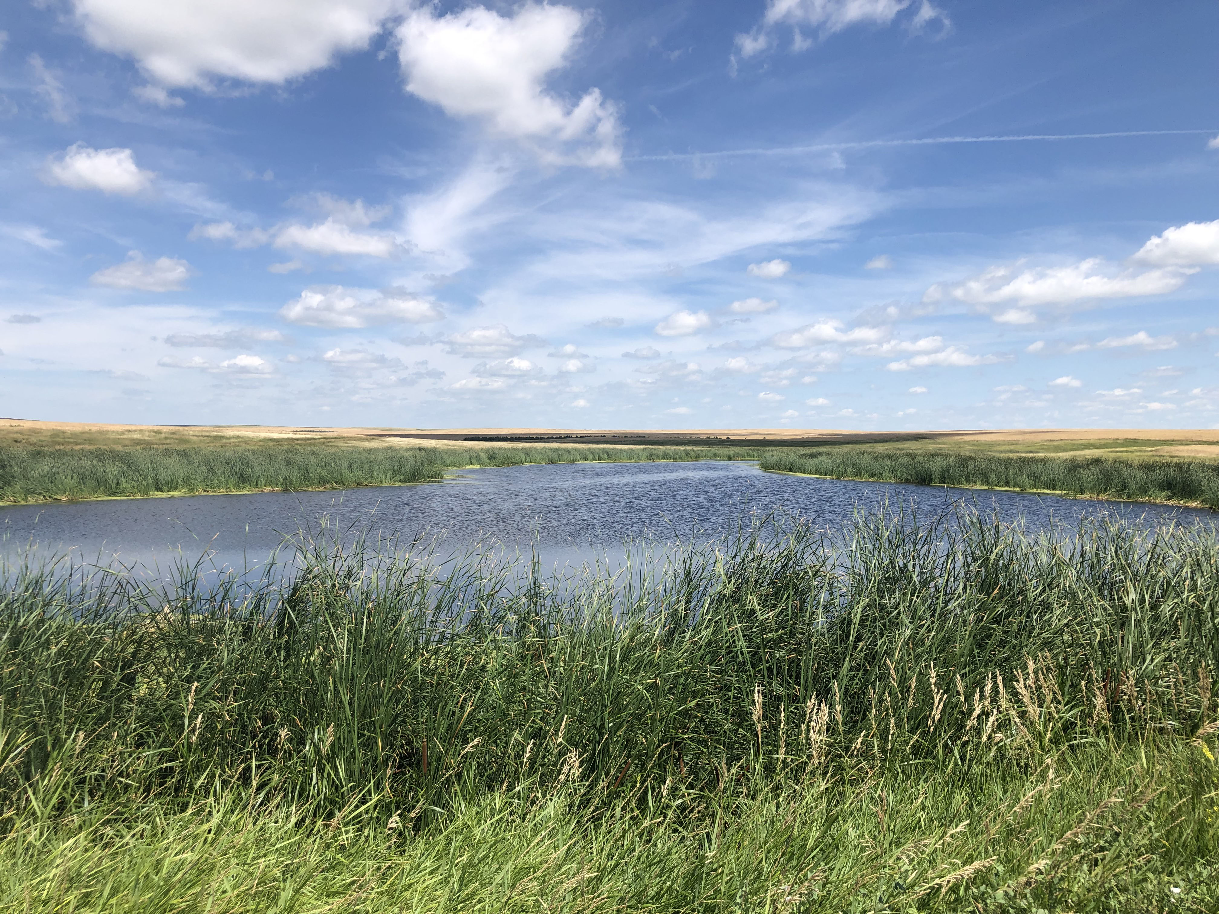 Buffalo County Farm Land property picture 13 of 33