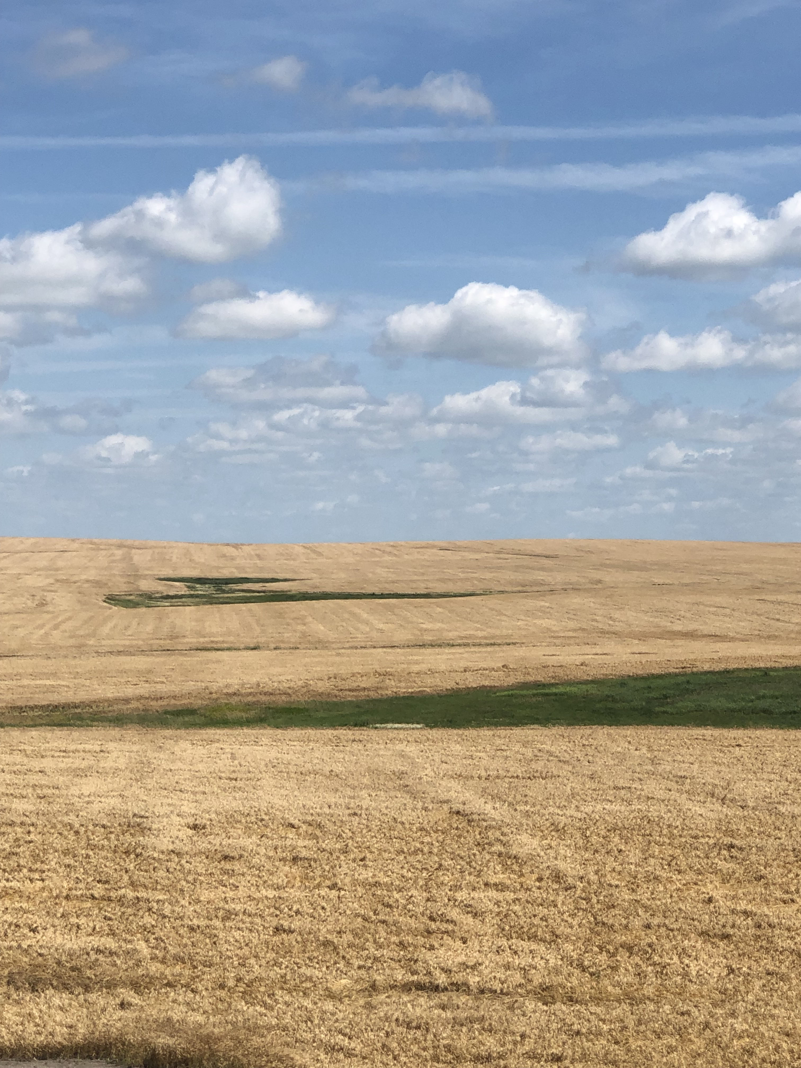 Buffalo County Farm Land property picture 5 of 33