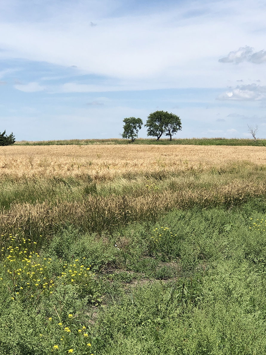 Buffalo County Farm Land property picture 2 of 33