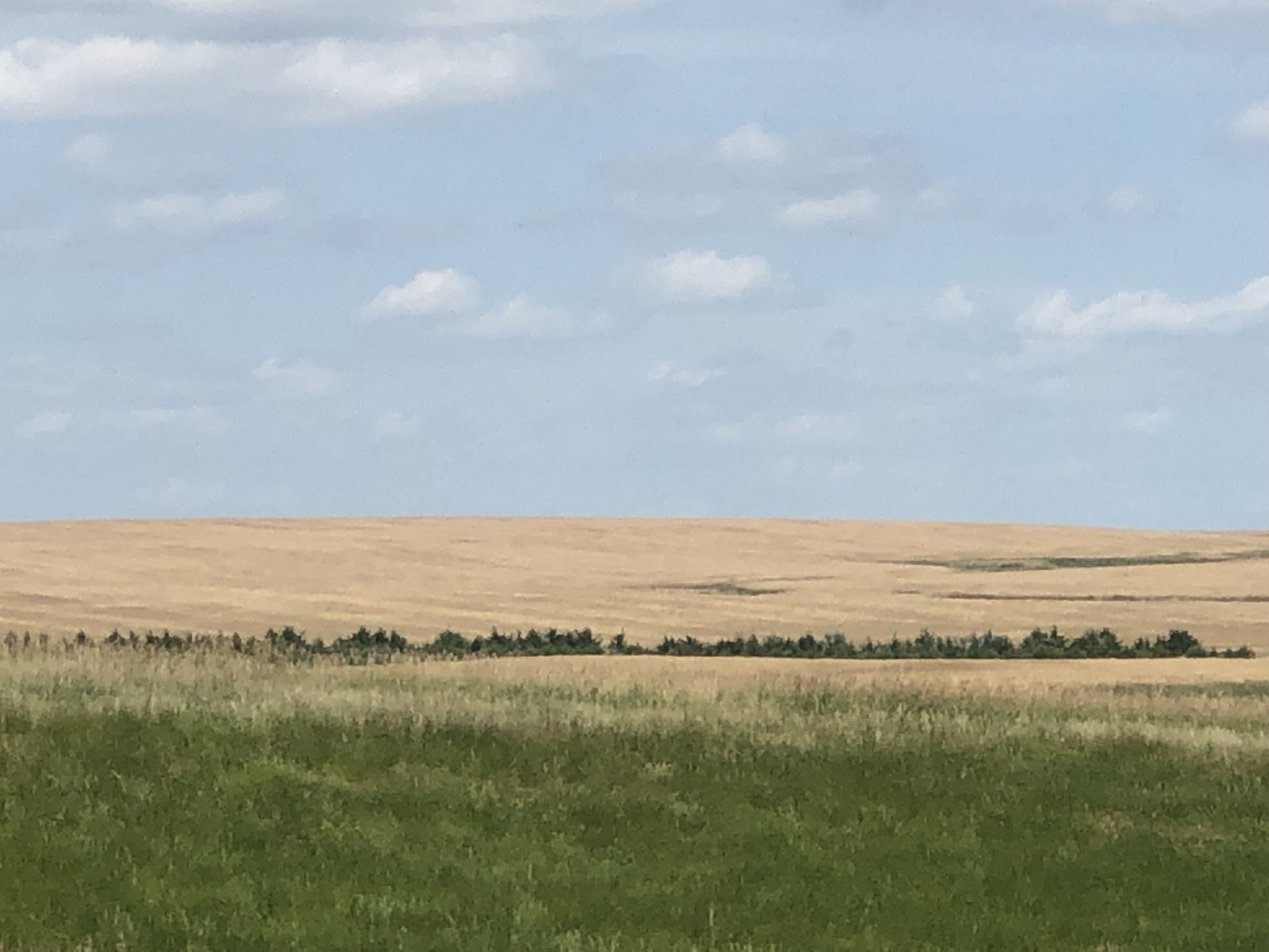 Buffalo County Farm Land property picture 28 of 33