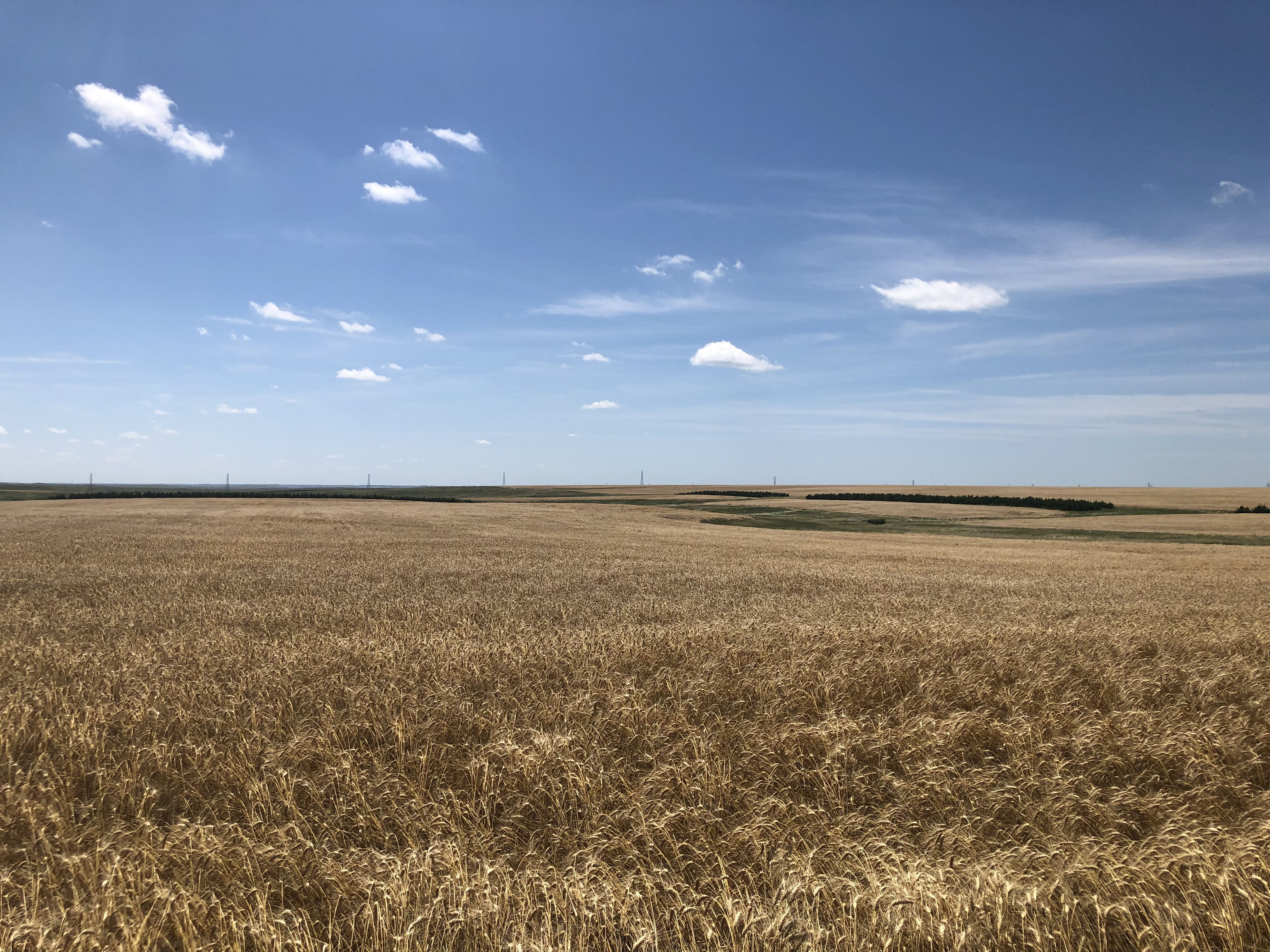 Buffalo County Farm Land property picture 23 of 33