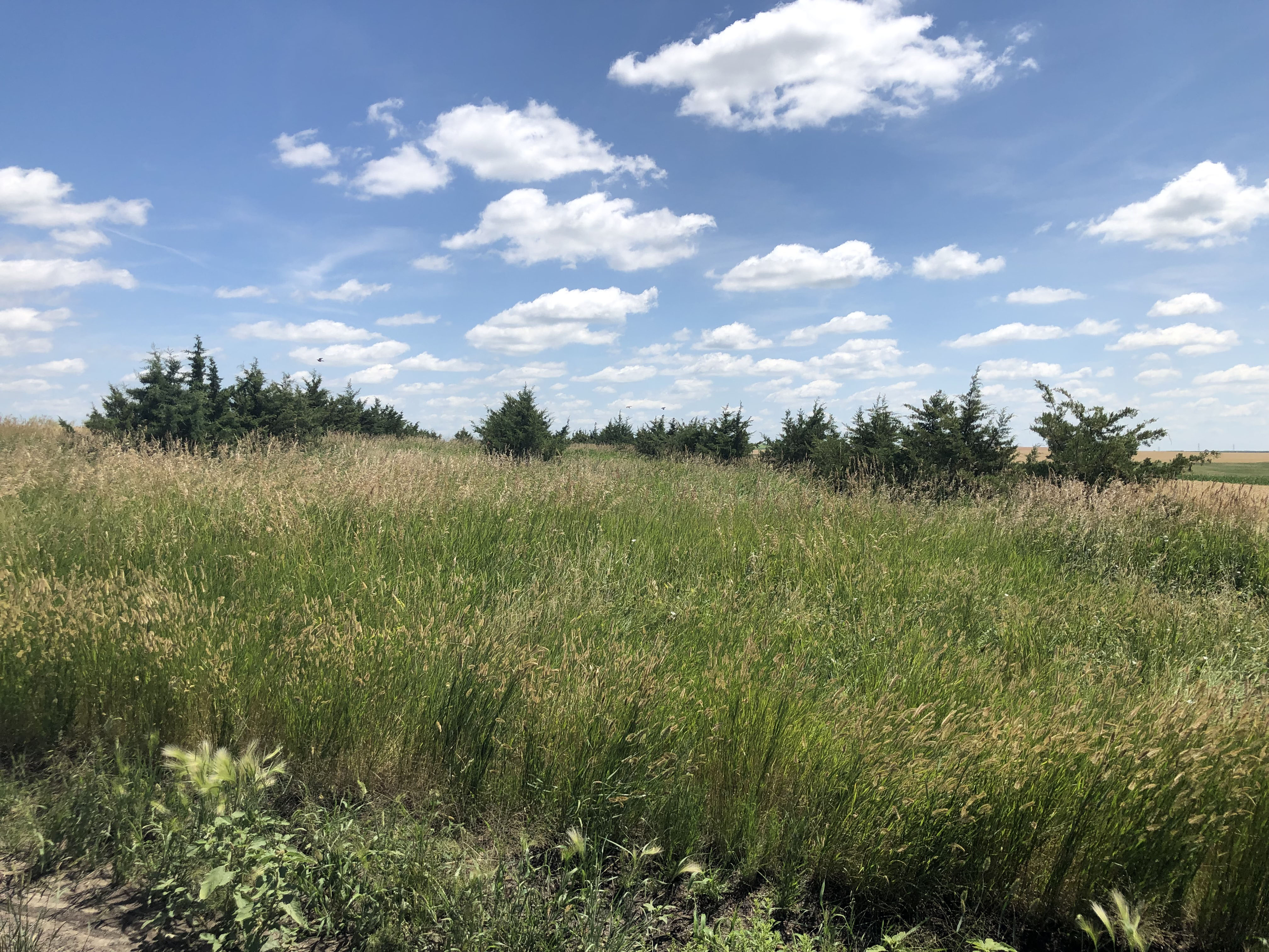 Buffalo County Farm Land property picture 19 of 33