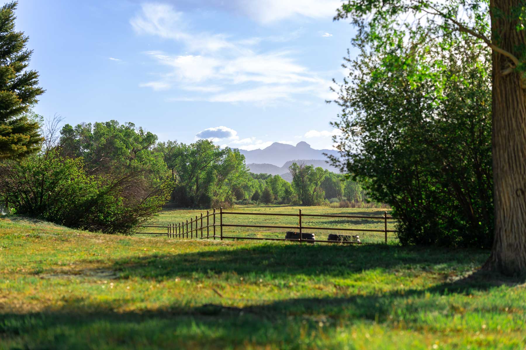 San Juan River Retreat property picture 94 of 99