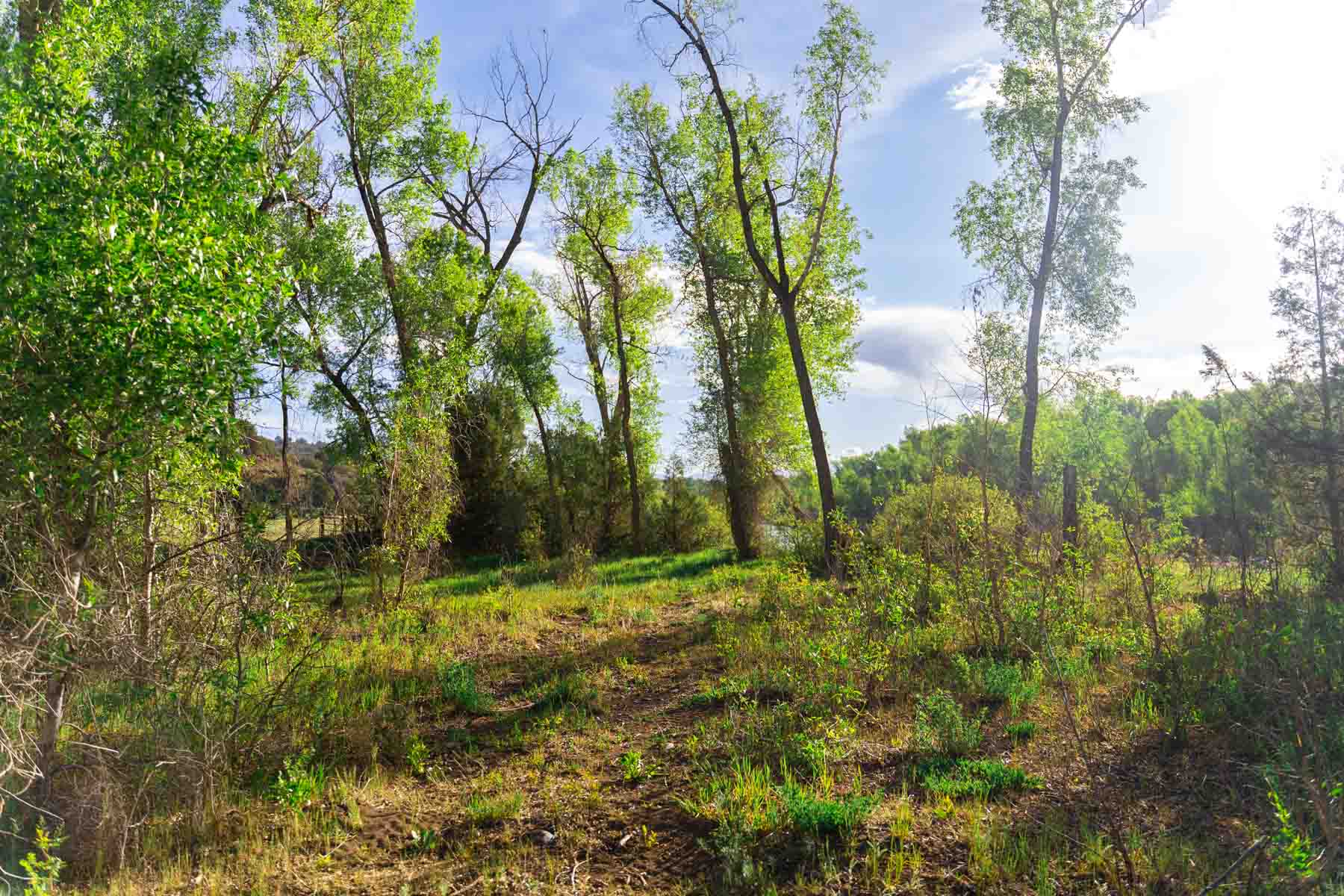 San Juan River Retreat property picture 87 of 99