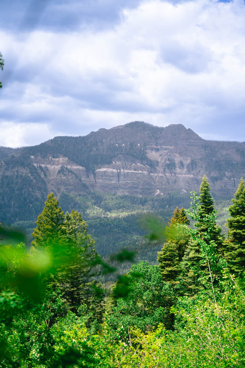 San Juan River Retreat property picture 80 of 99