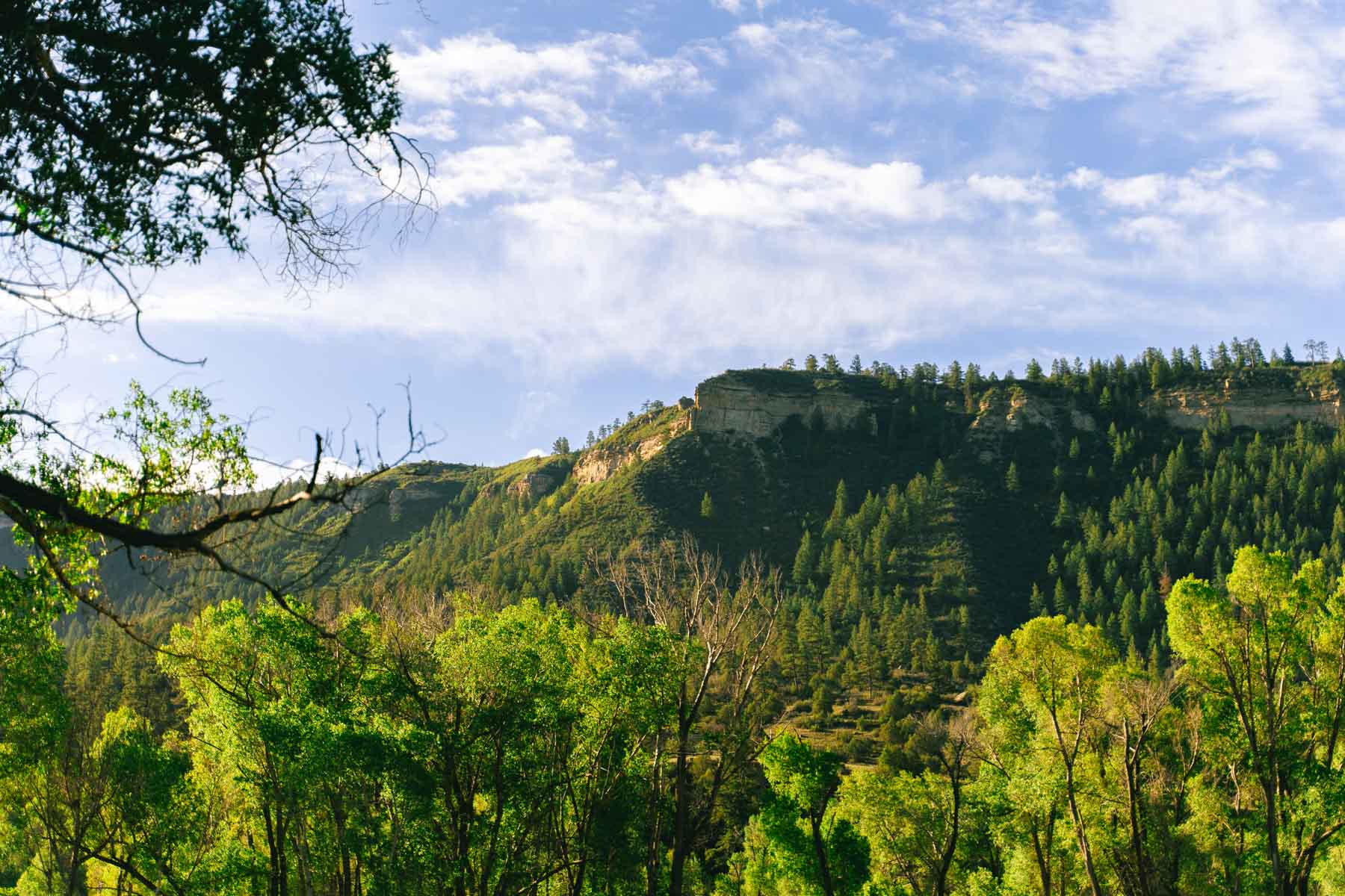 San Juan River Retreat property picture 91 of 99