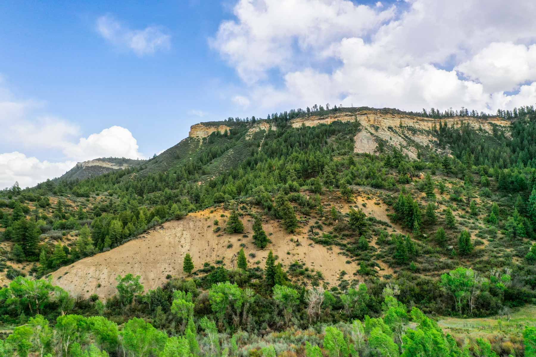 San Juan River Retreat property picture 81 of 99