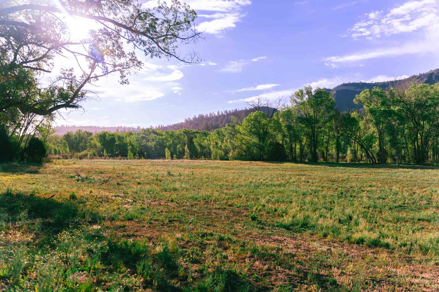 San Juan River Retreat property picture 92 of 99