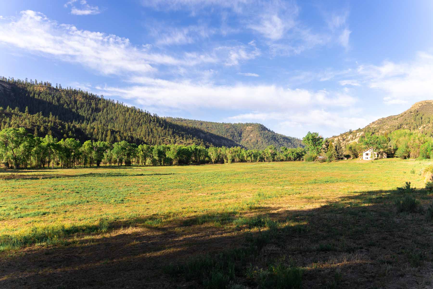 San Juan River Retreat property picture 89 of 99