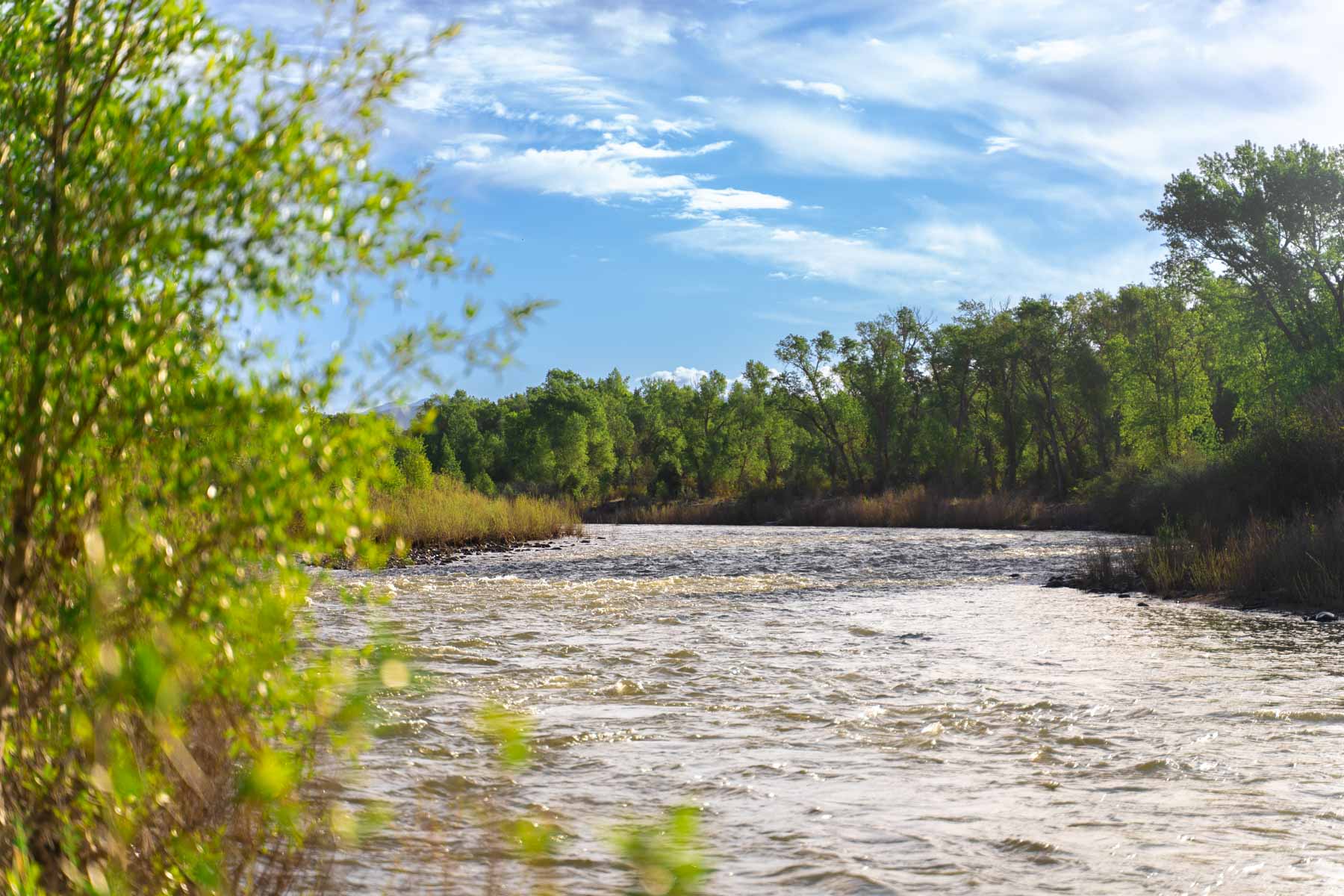 San Juan River Retreat property picture 83 of 99