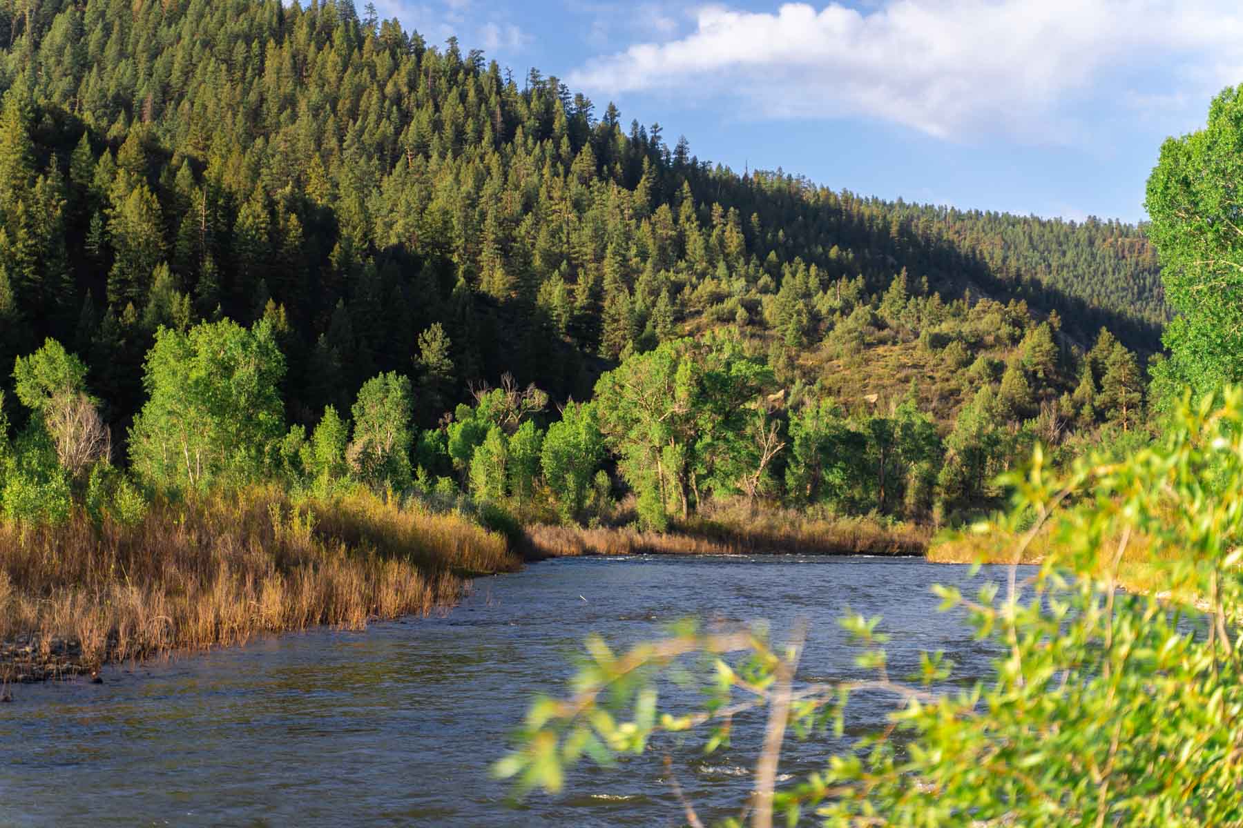 San Juan River Retreat property picture 78 of 99