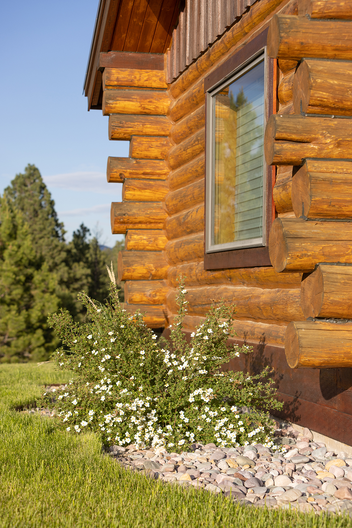 Mile High Ranch property picture 42 of 83