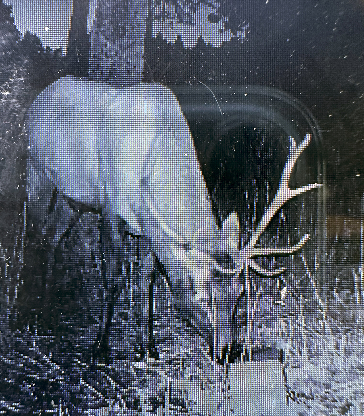 Mile High Ranch property picture 85 of 95