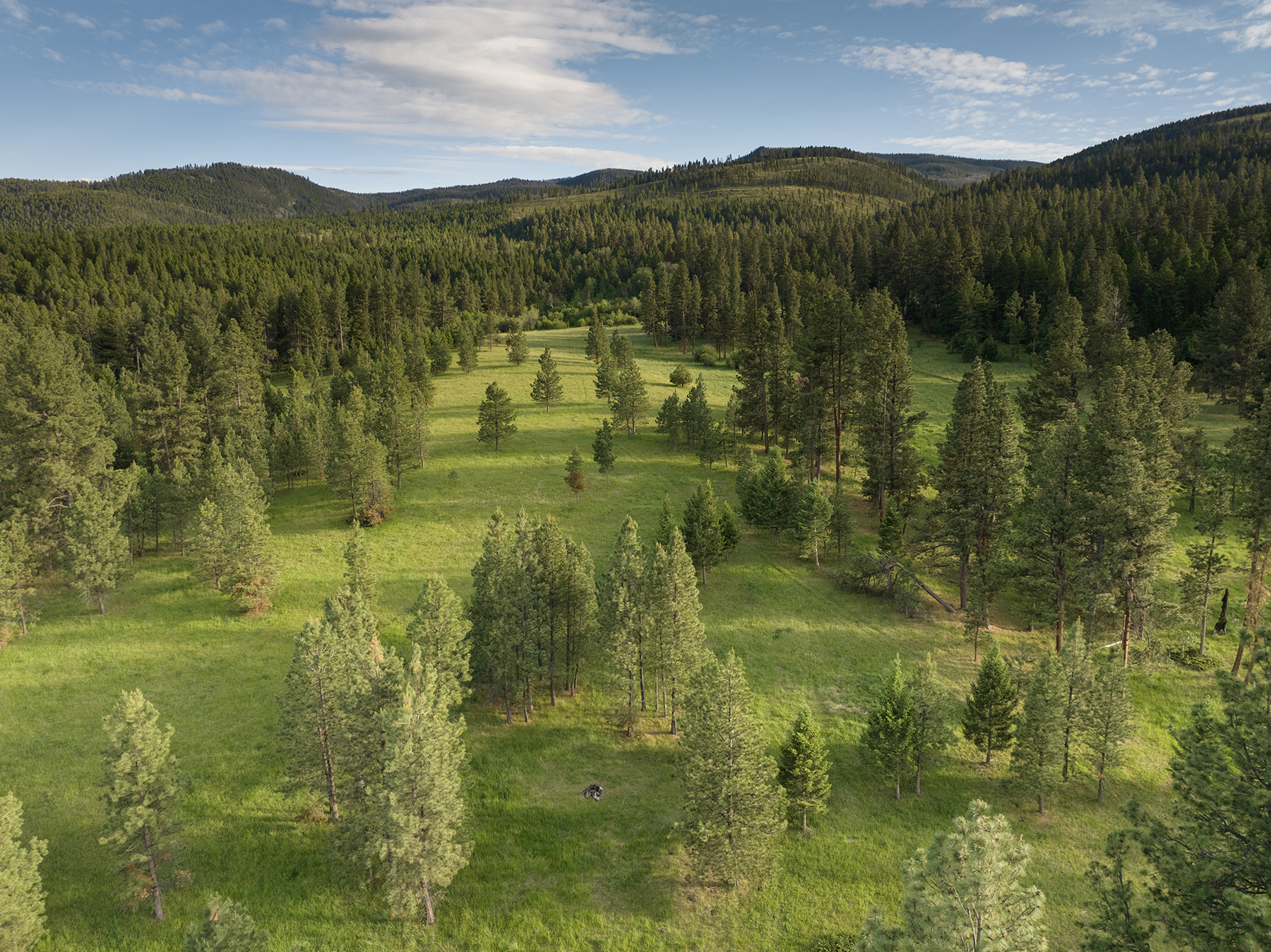 Mile High Ranch property picture 5 of 83