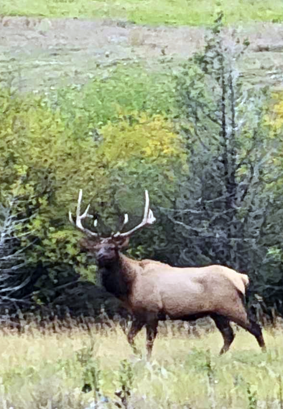 Mile High Ranch property picture 2 of 83