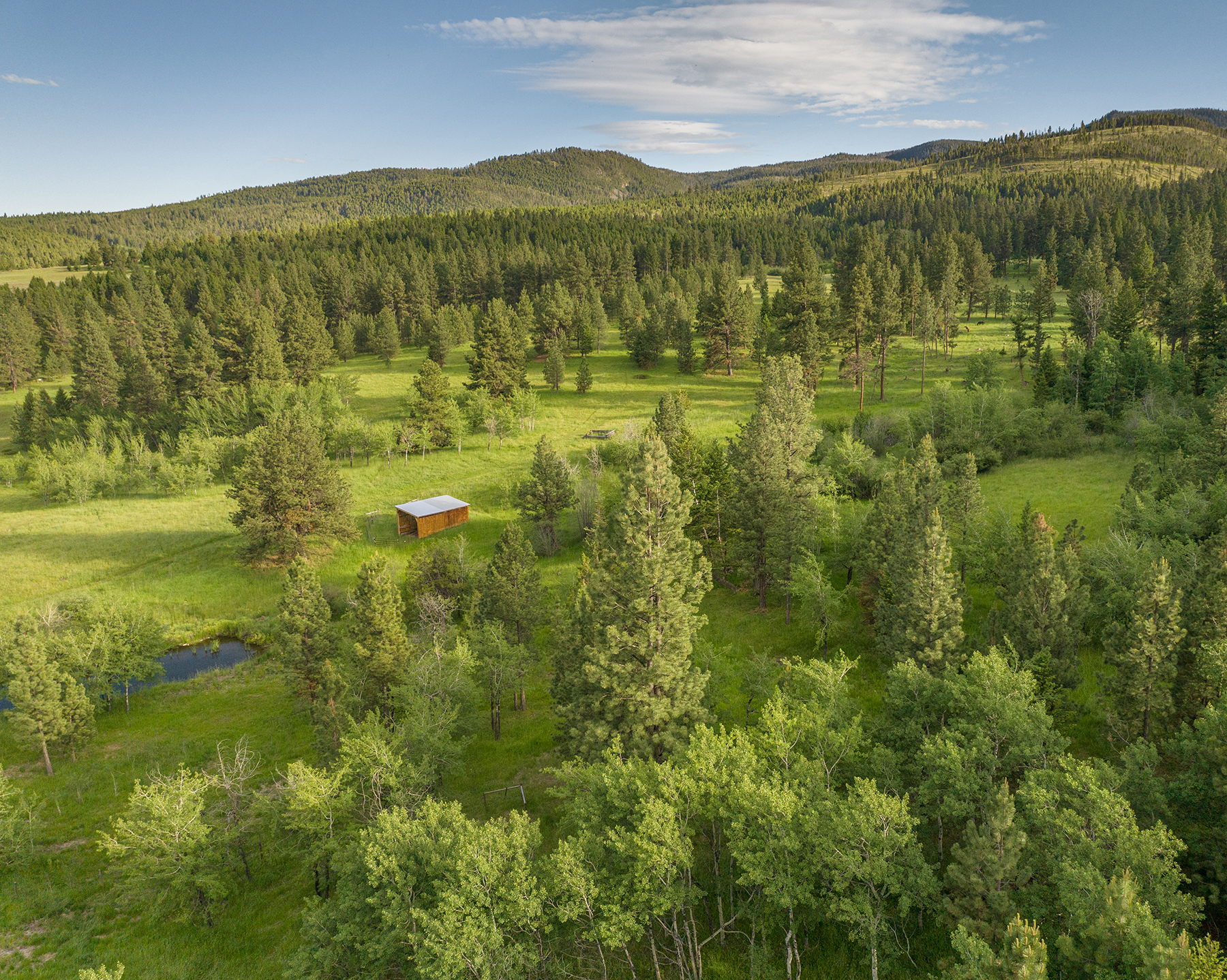 Mile High Ranch property picture 4 of 83