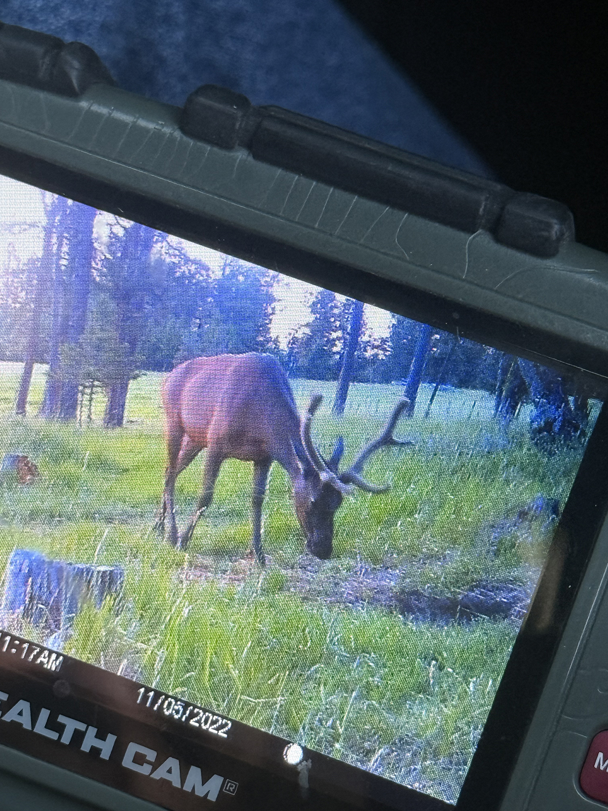 Mile High Ranch property picture 93 of 95