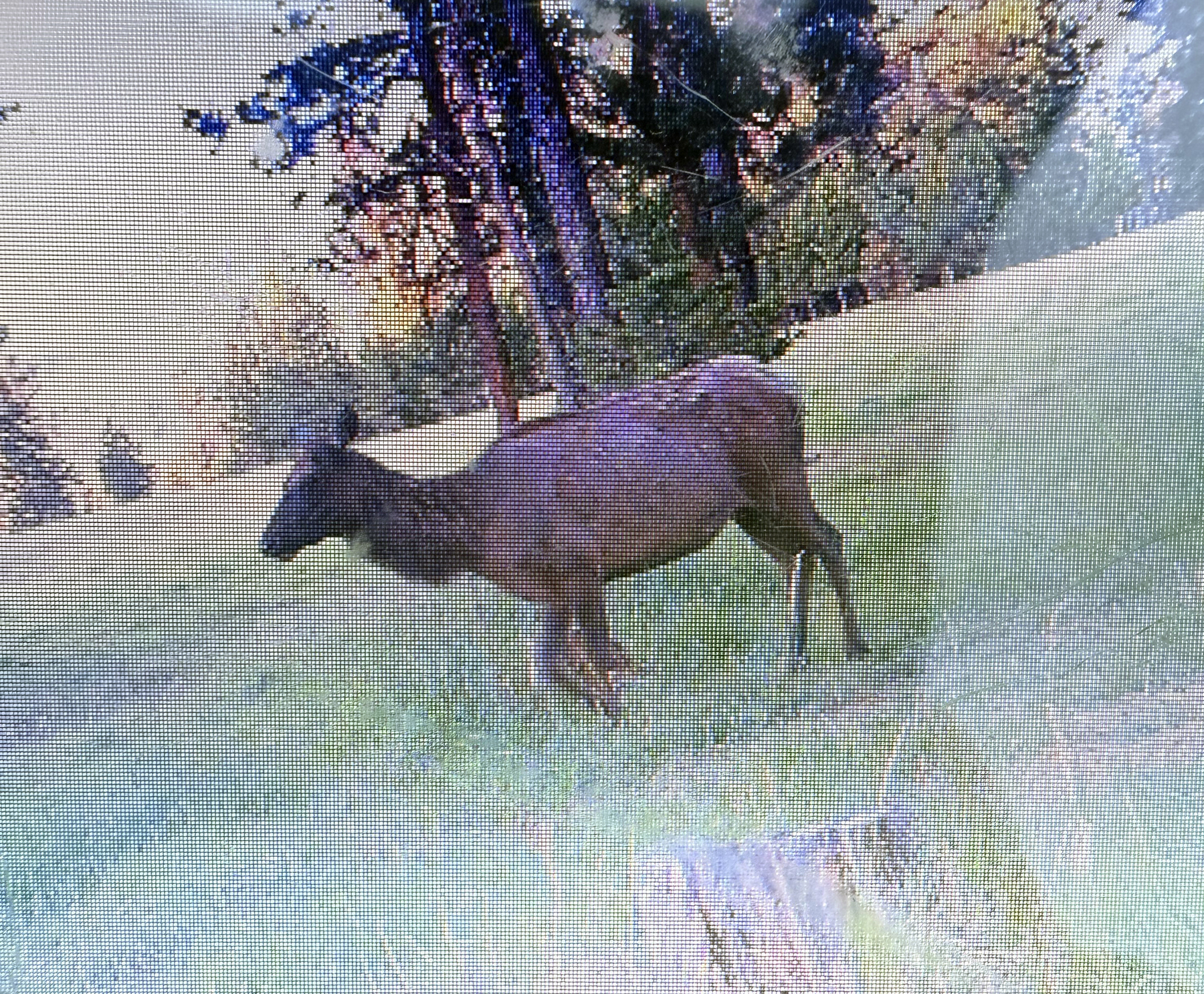 Mile High Ranch property picture 17 of 83
