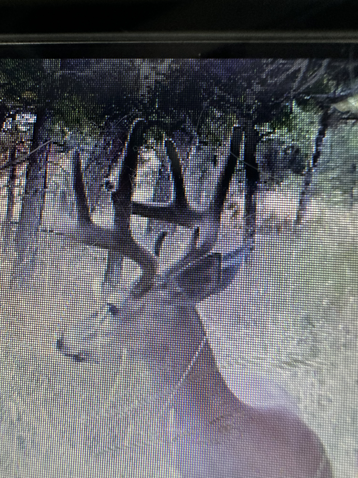 Mile High Ranch property picture 90 of 95