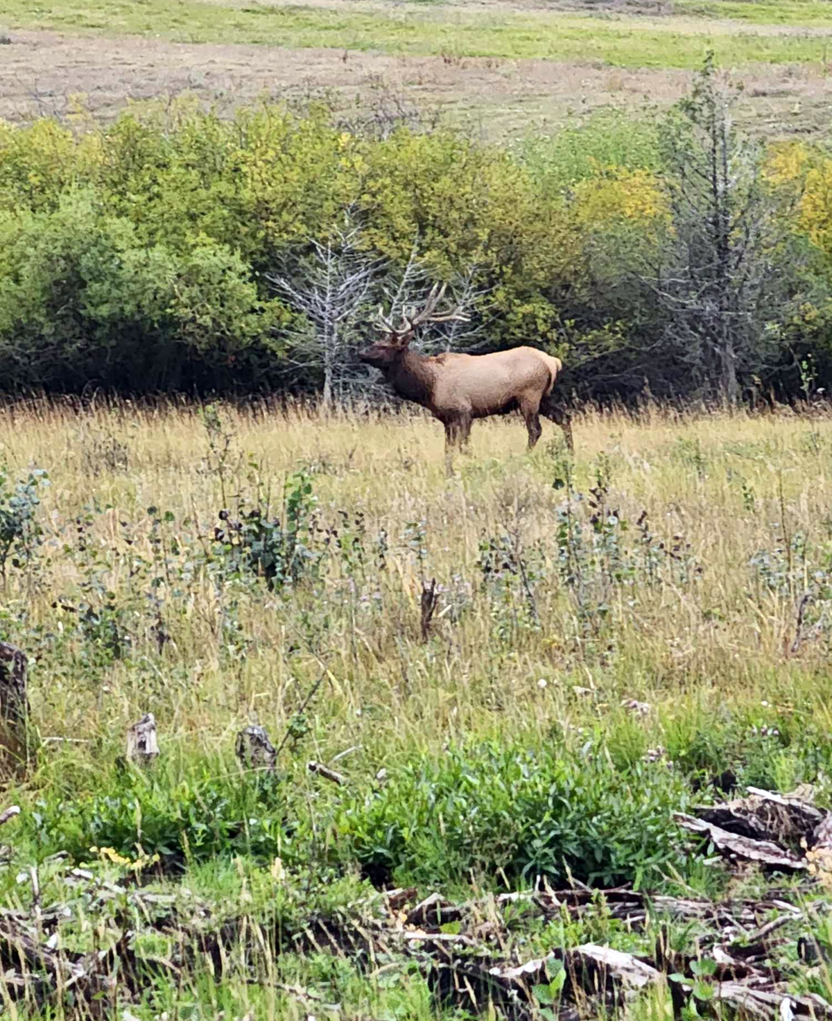 Mile High Ranch property picture 11 of 83