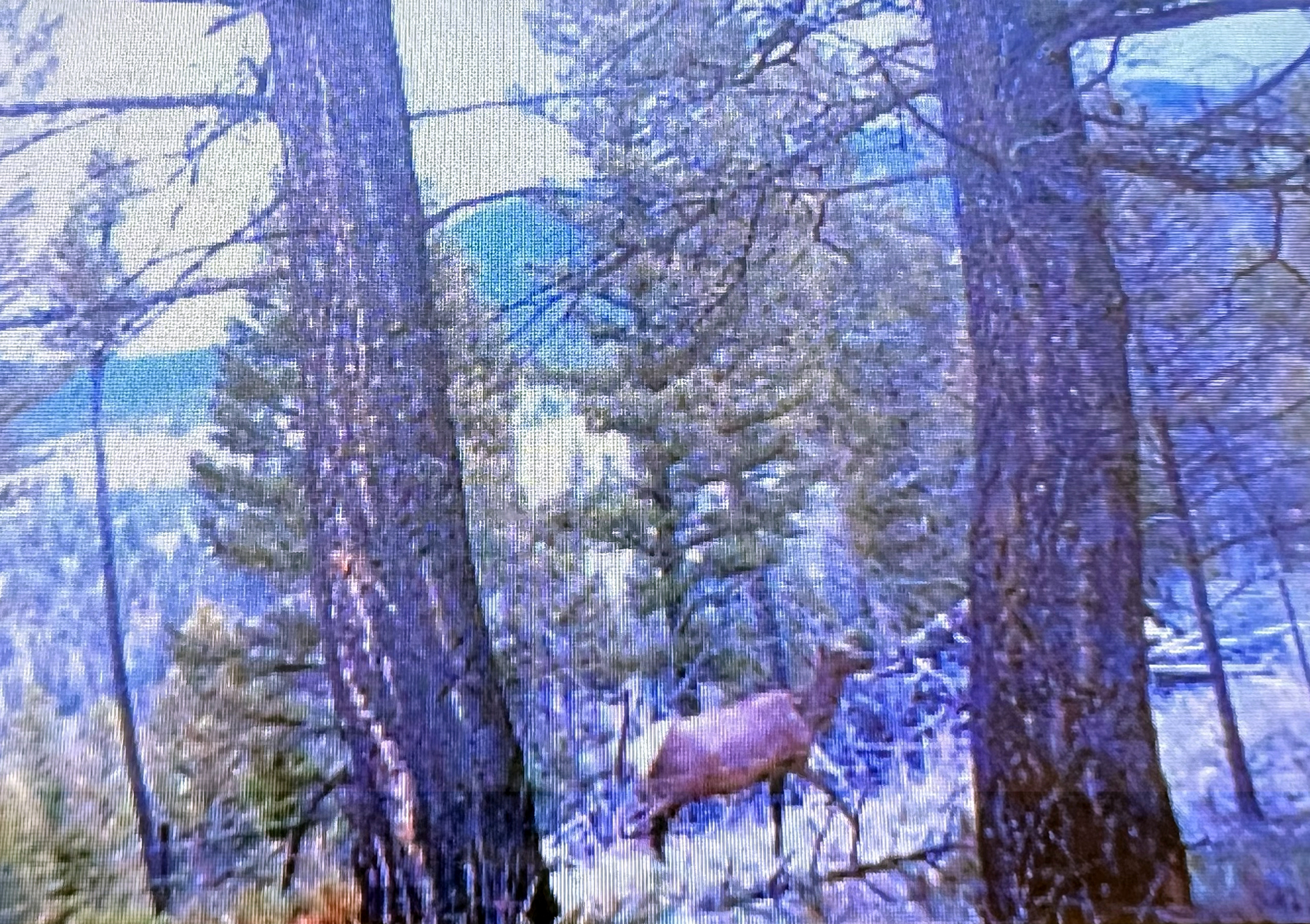 Mile High Ranch property picture 87 of 95