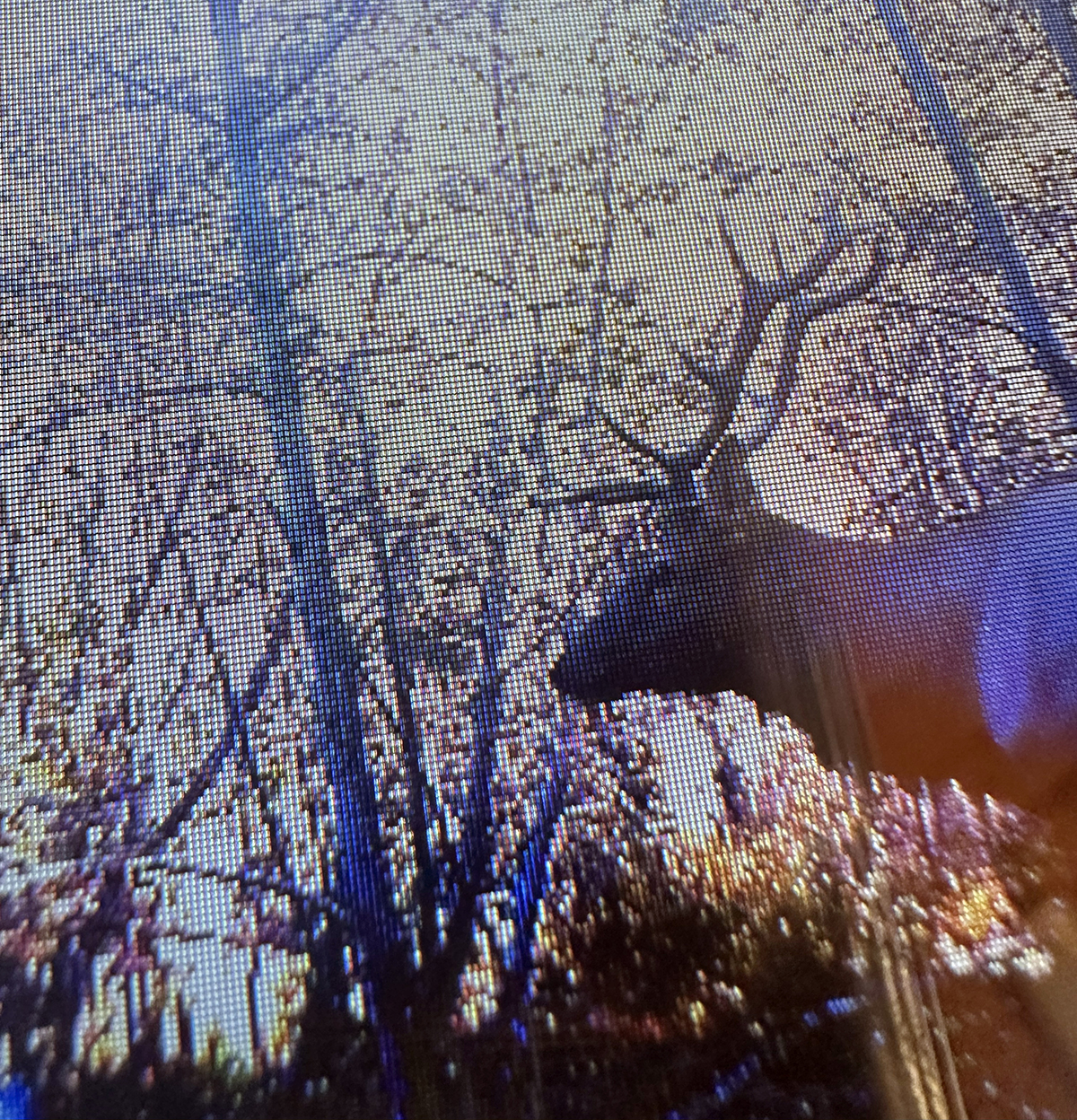 Mile High Ranch property picture 9 of 83