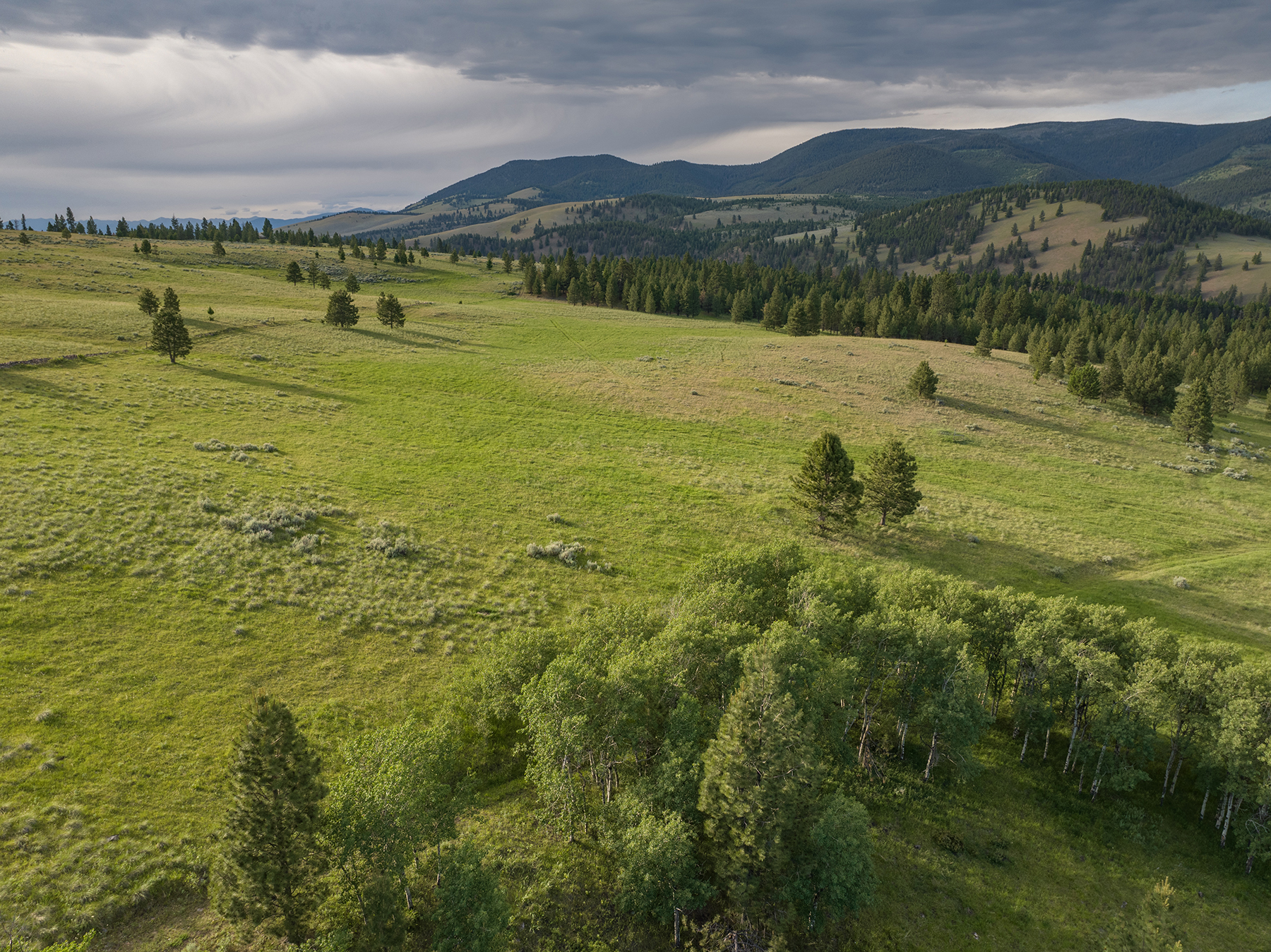 Mile High Ranch property picture 8 of 83