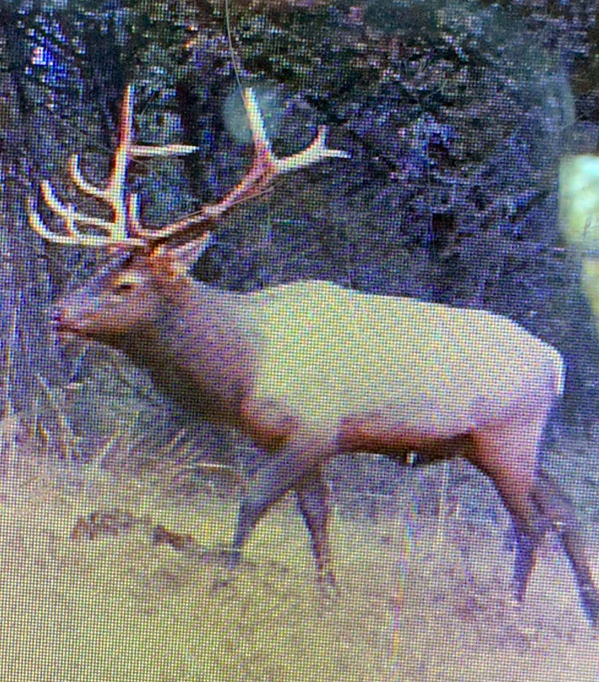 Mile High Ranch property picture 7 of 83