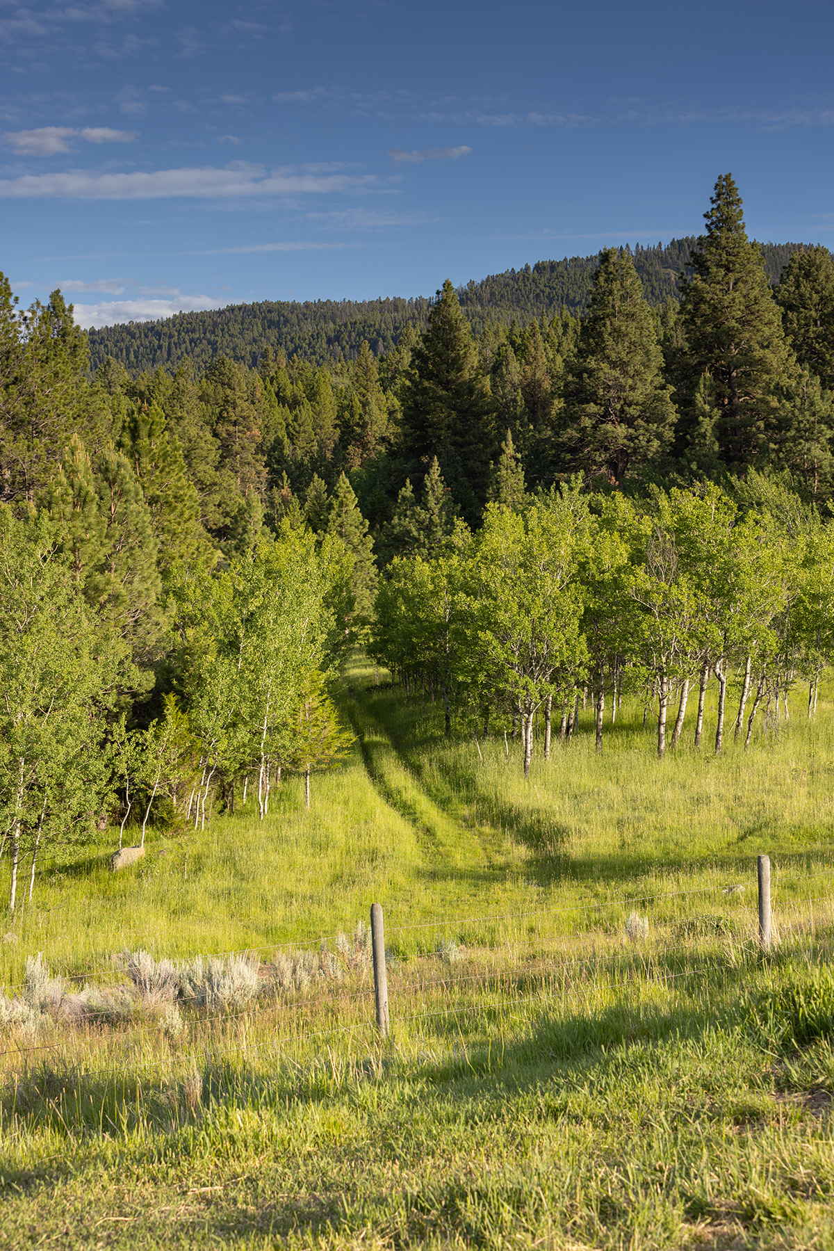 Mile High Ranch property picture 9 of 83