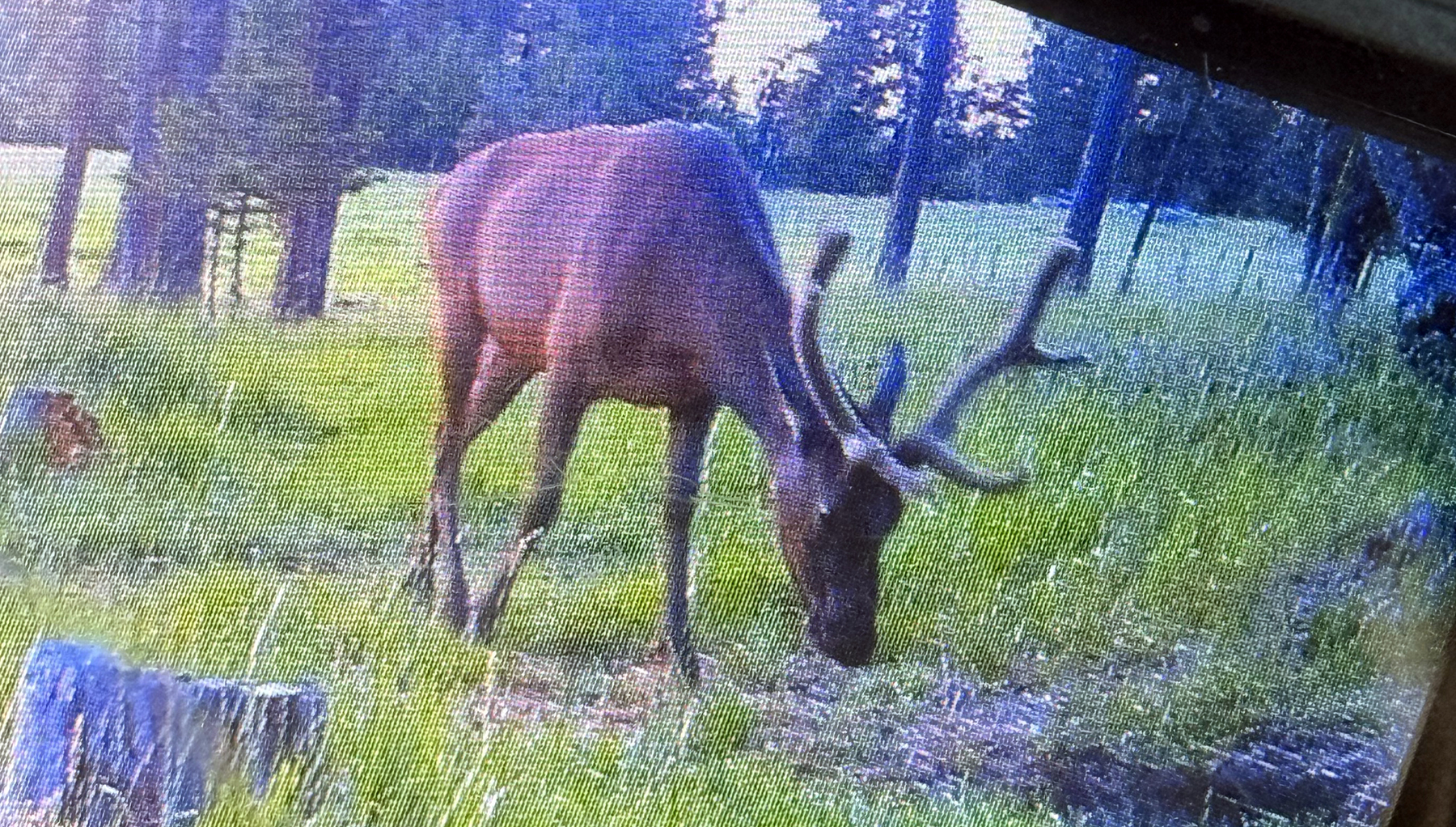 Mile High Ranch property picture 8 of 83