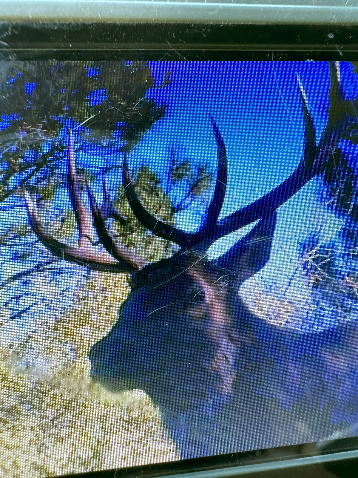 Mile High Ranch property picture 15 of 83
