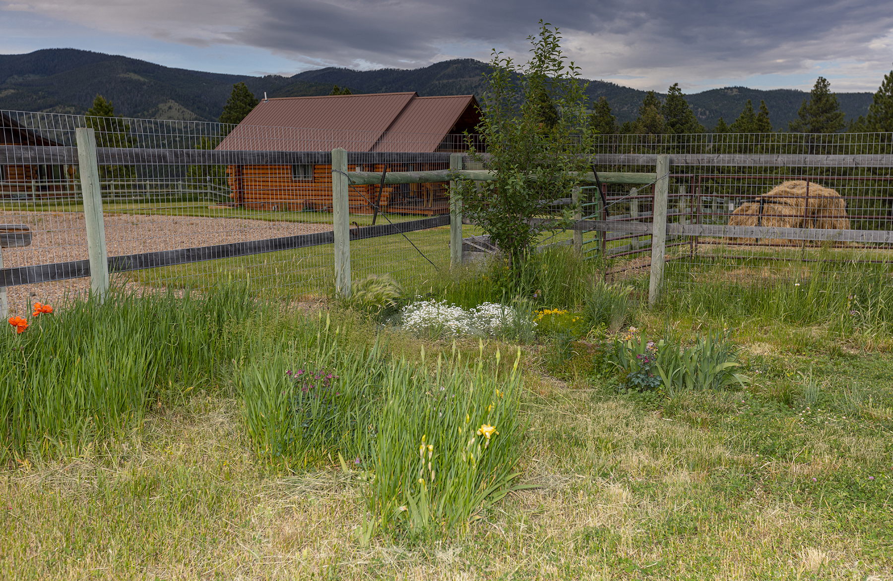 Mile High Ranch property picture 49 of 83