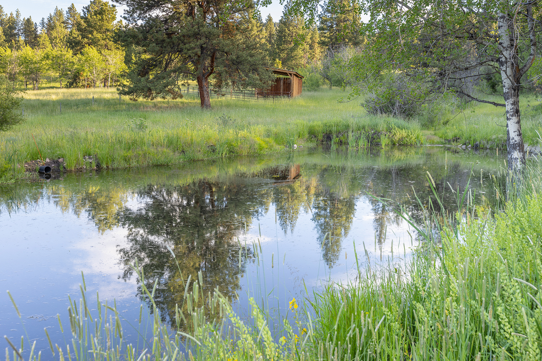 Mile High Ranch property picture 10 of 83