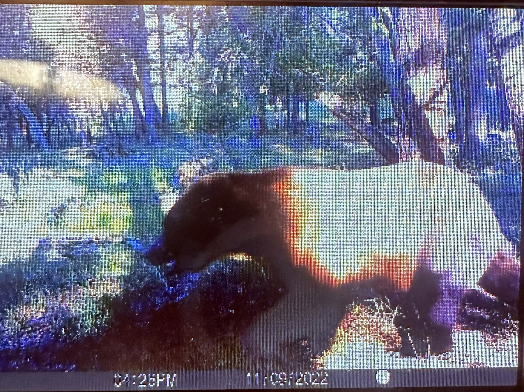 Mile High Ranch property picture 10 of 83
