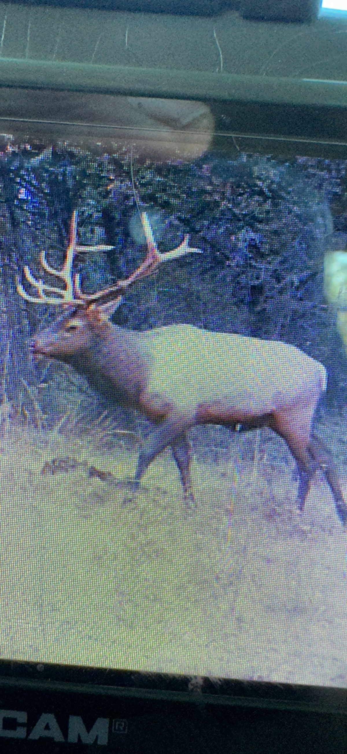 Mile High Ranch property picture 91 of 95