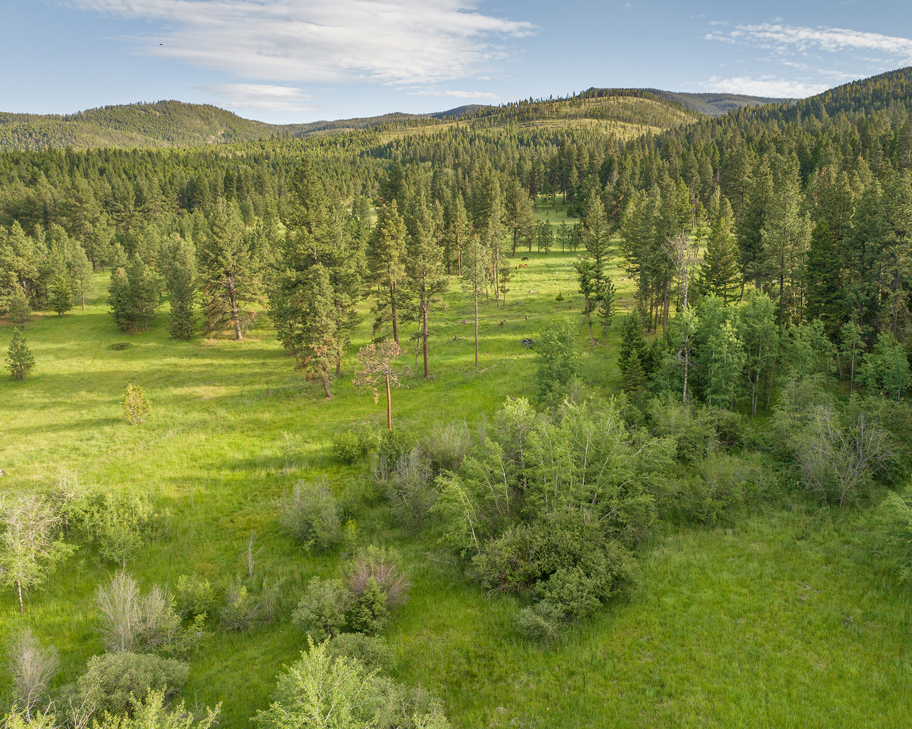 Mile High Ranch property picture 6 of 83