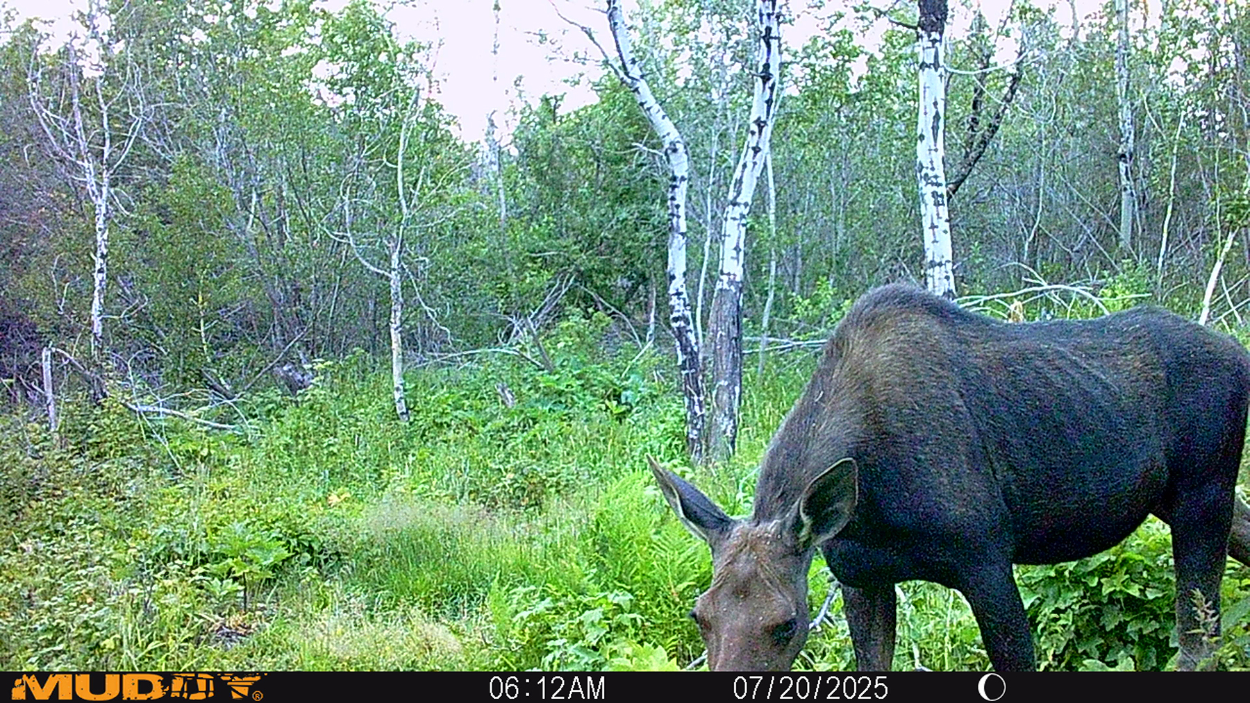 Mile High Ranch property picture 6 of 83